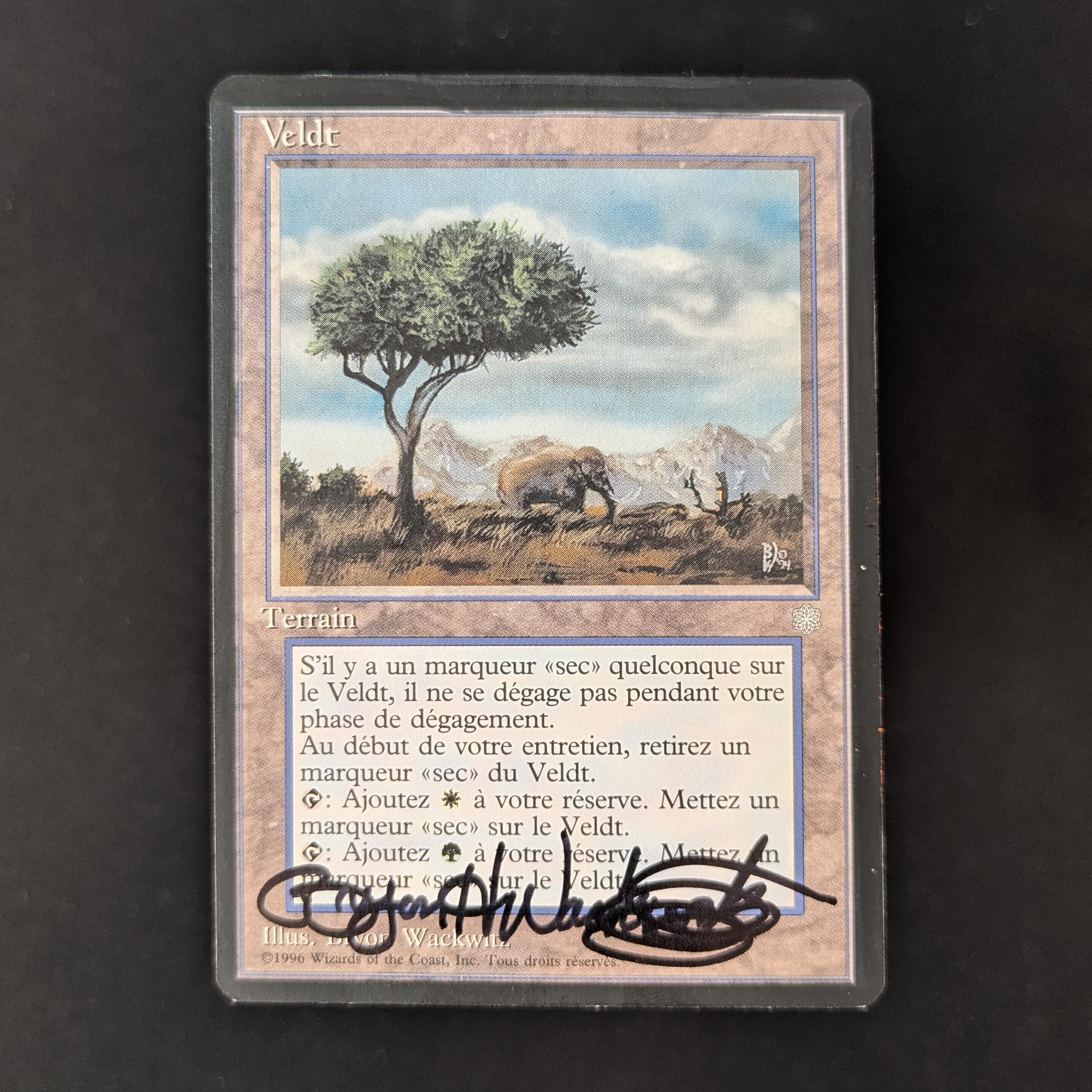 MTG Singles - Pain Lands Set - Artist Proof - SIGNED; SKETCHED BACK - 