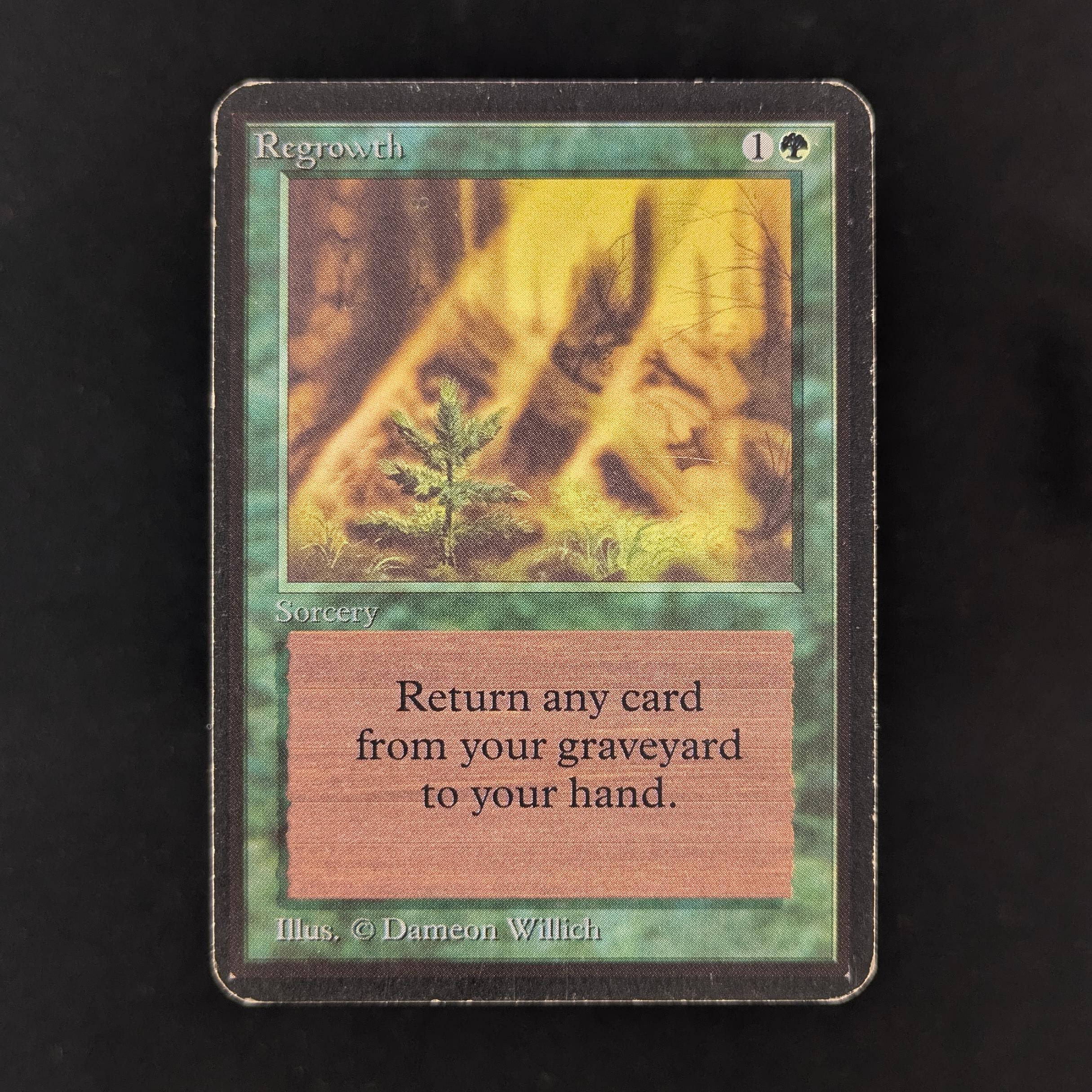 MTG Singles - Regrowth - Alpha - PL - 31860