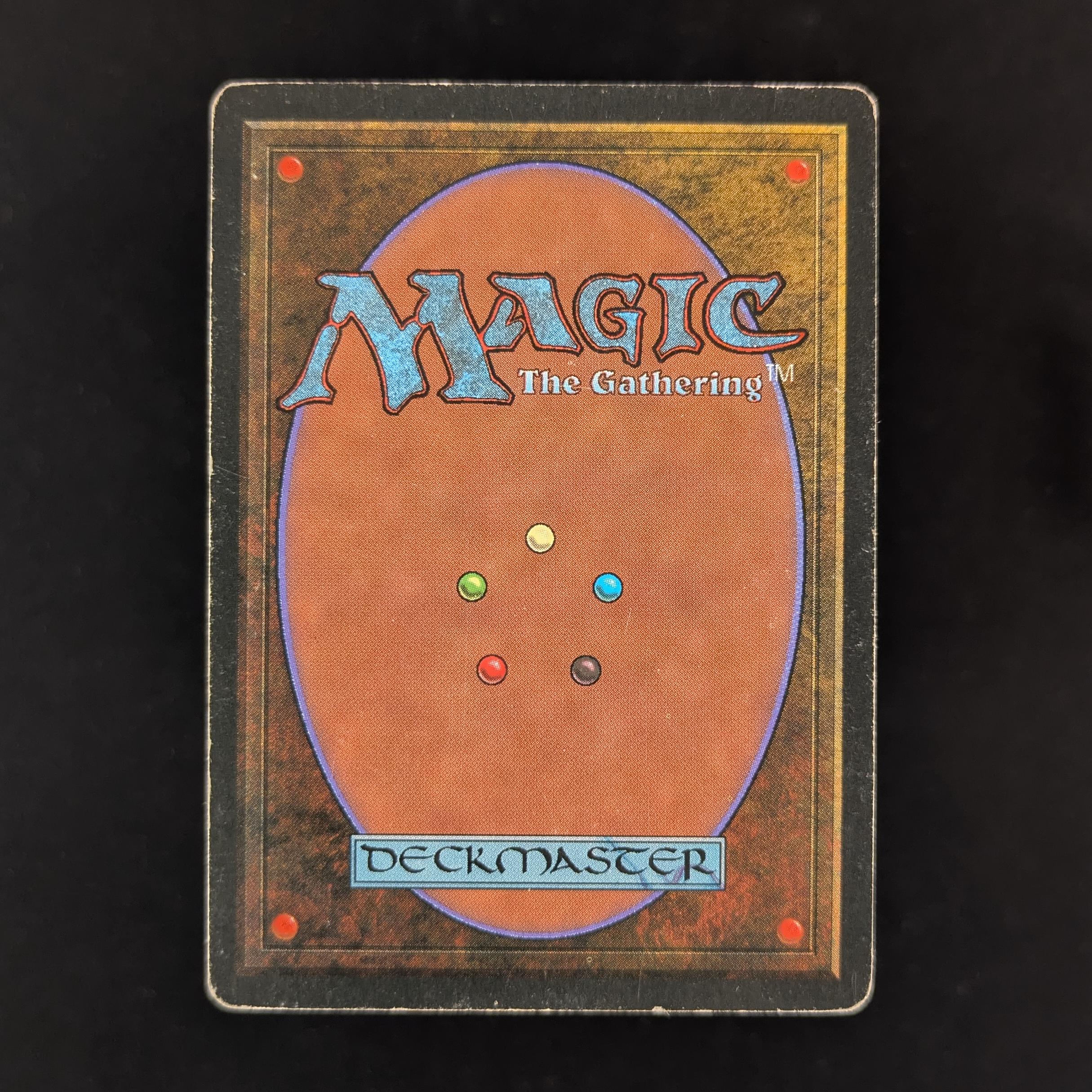 MTG Singles - Bayou - Revised - 