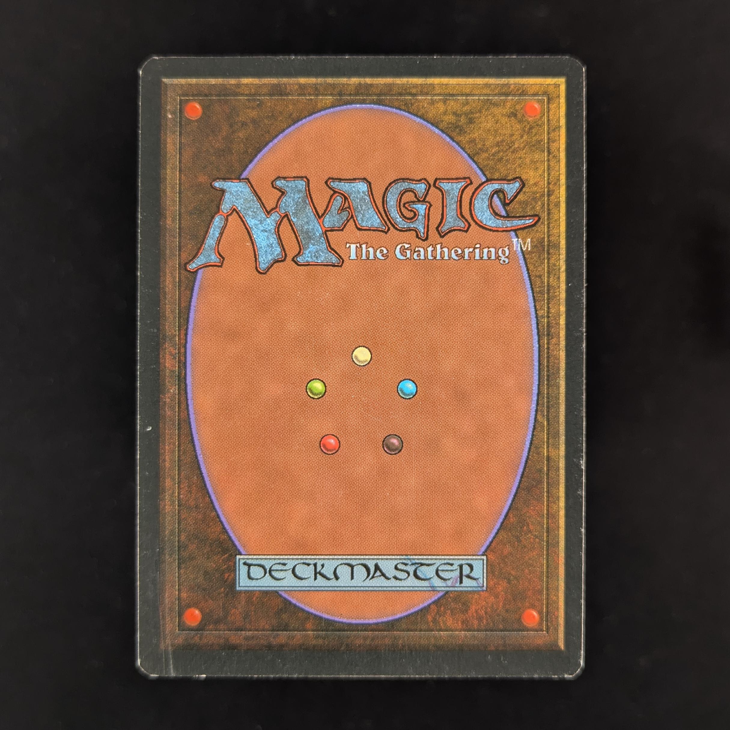 MTG Singles - Taiga - Foreign White Bordered - 
