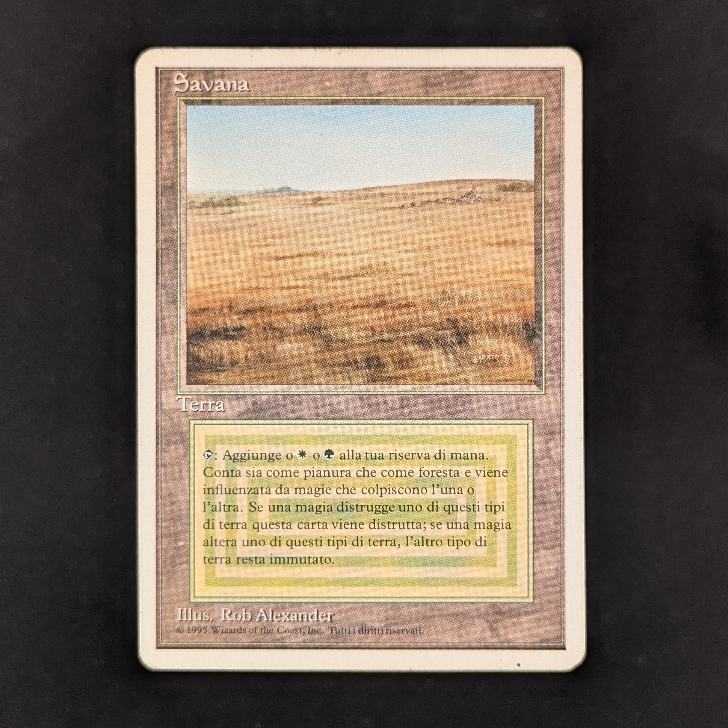 MTG Singles - Savannah - Foreign White Bordered - Italian - PL - 31965
