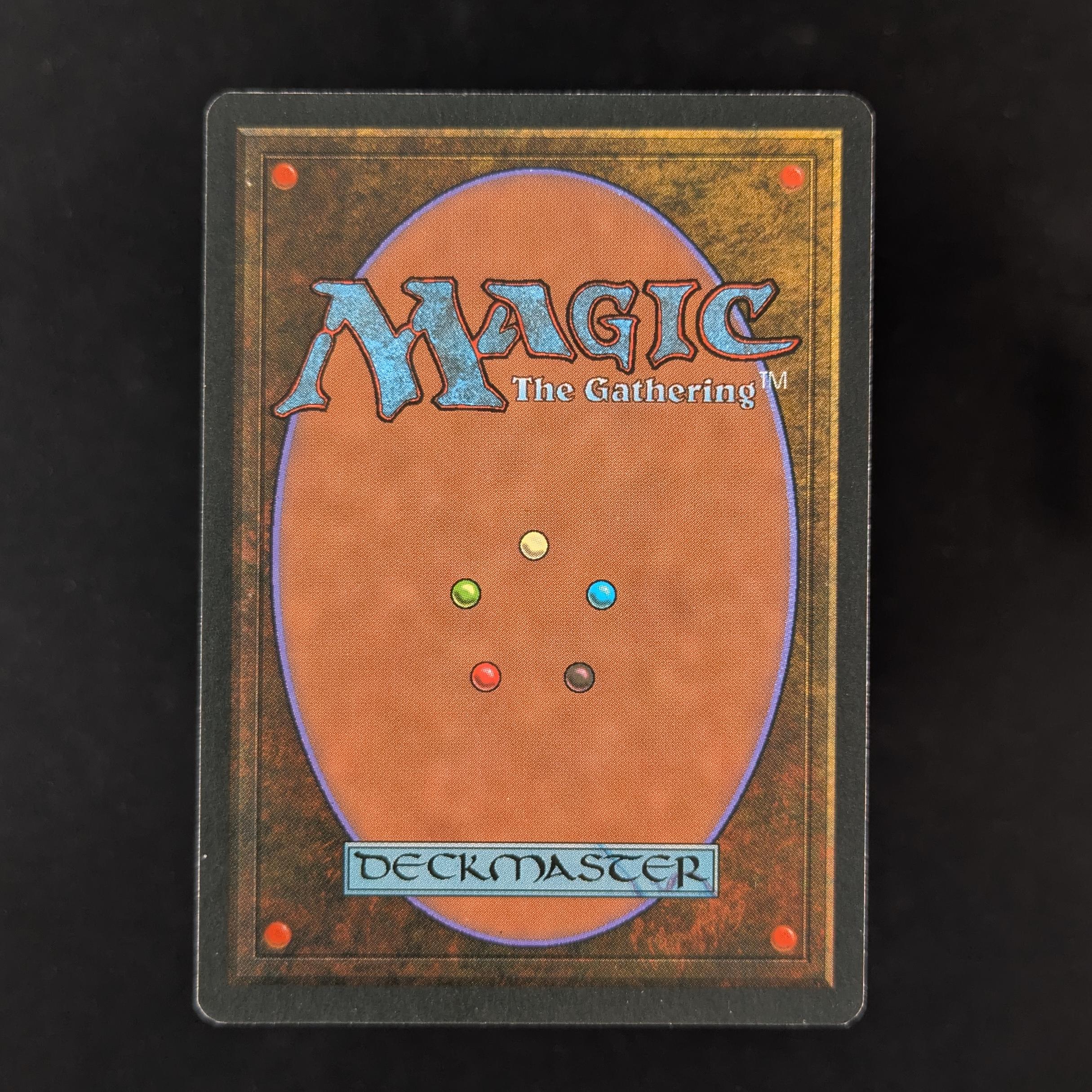 MTG Singles - Bayou - Foreign Black Bordered - 