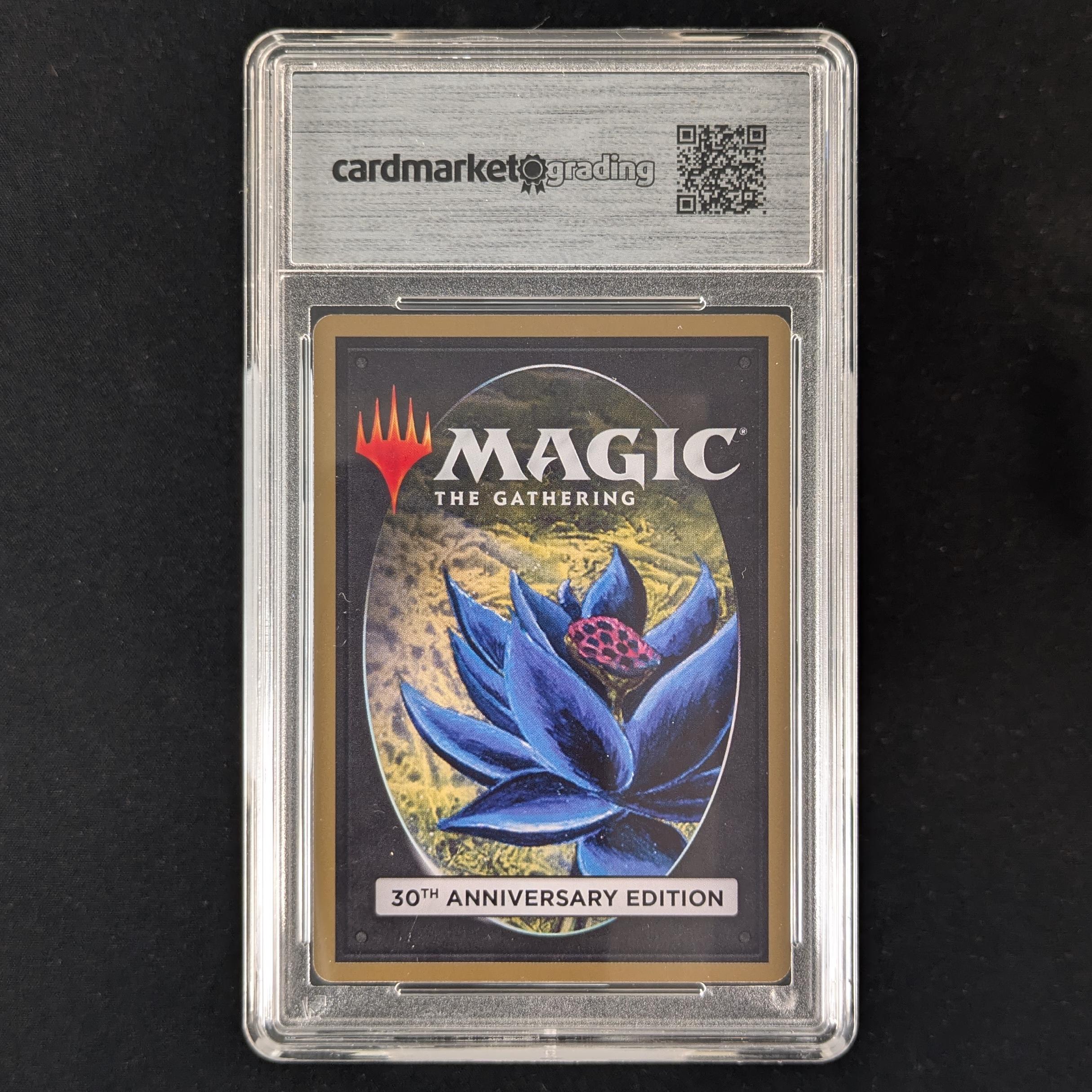 MTG Singles - Flashfires (Retro Frame) - 30th Anniversary Edition - CMG 9.5 - 