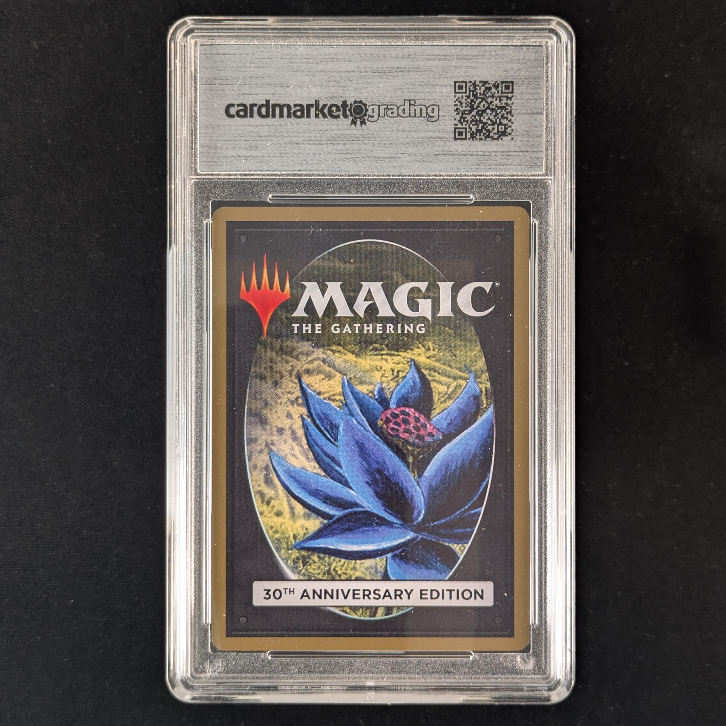 MTG Singles - Plateau (Modern Frame) - 30th Anniversary Edition - 