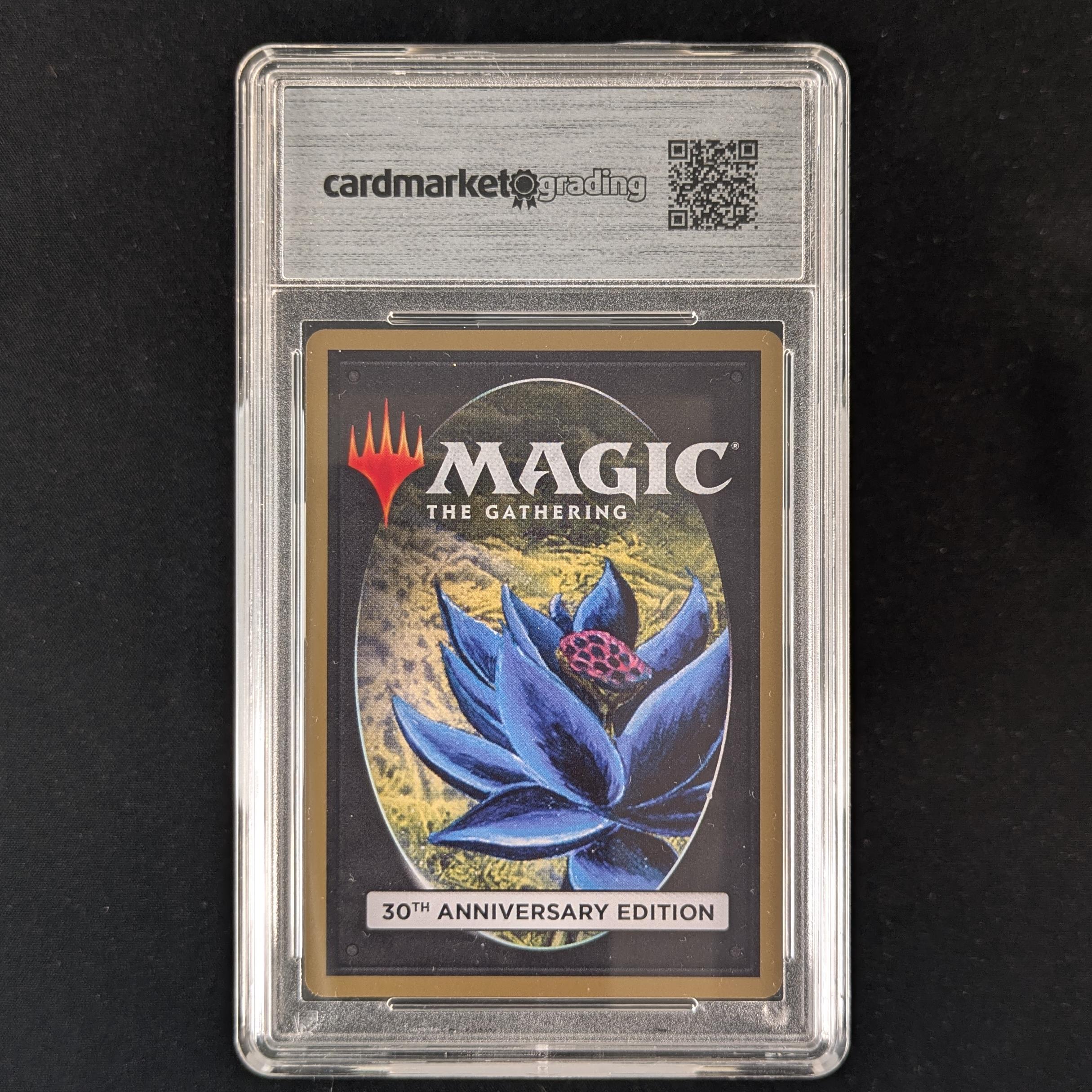 MTG Singles - Scrubland (Modern Frame) - 30th Anniversary Edition - 