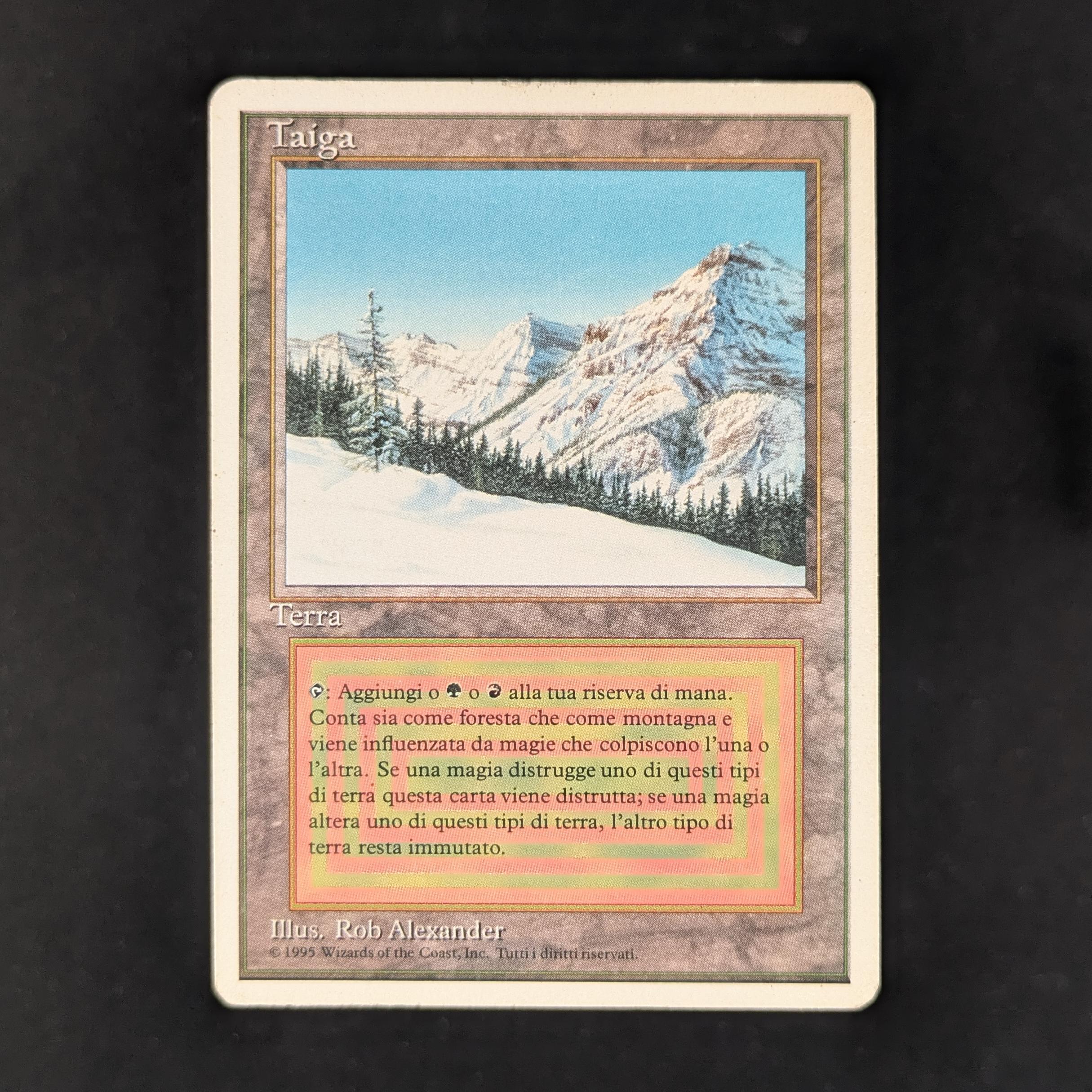 MTG Singles - Taiga - Foreign White Bordered - Italian - LP - 32285
