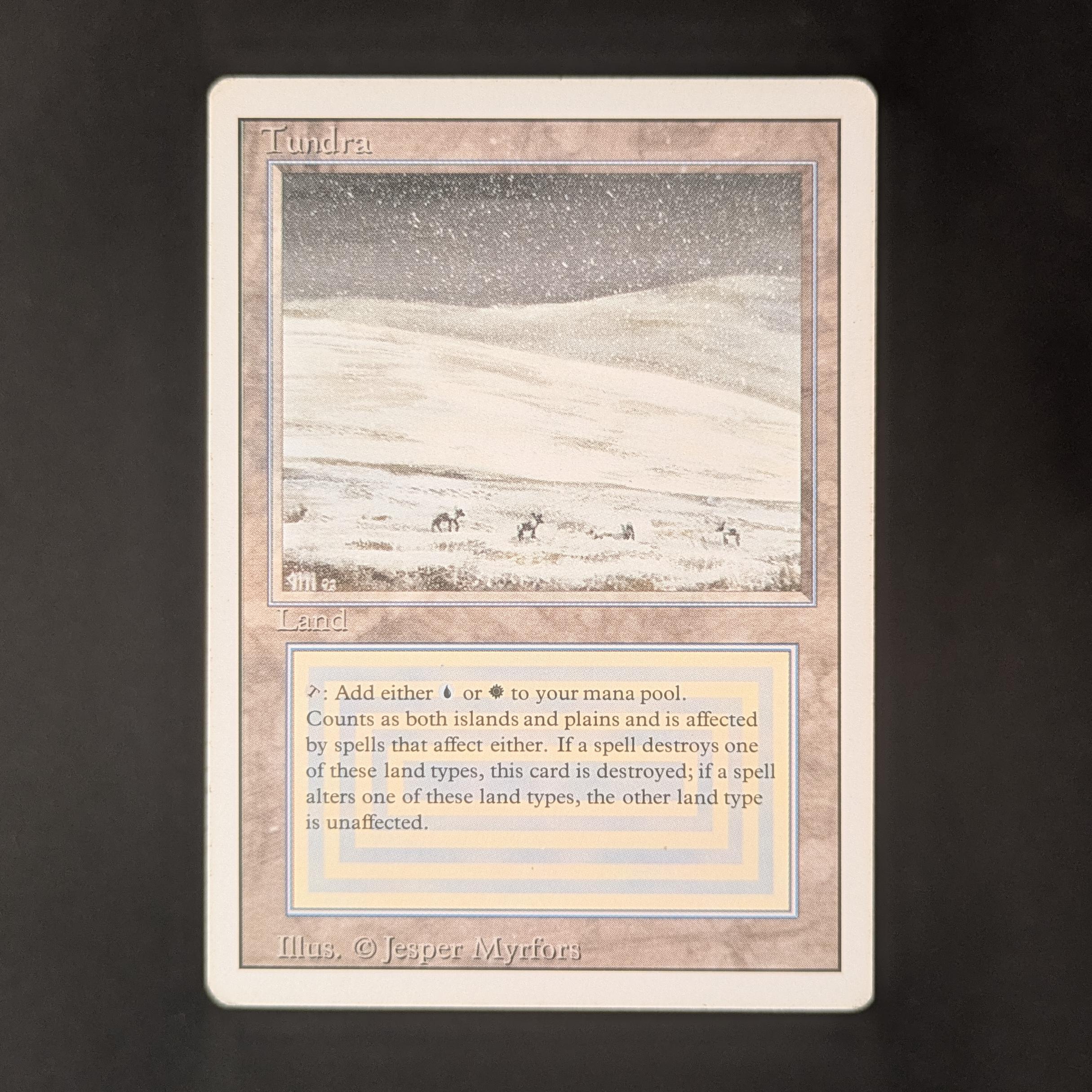 MTG Singles - Tundra - Revised - LP - 32676