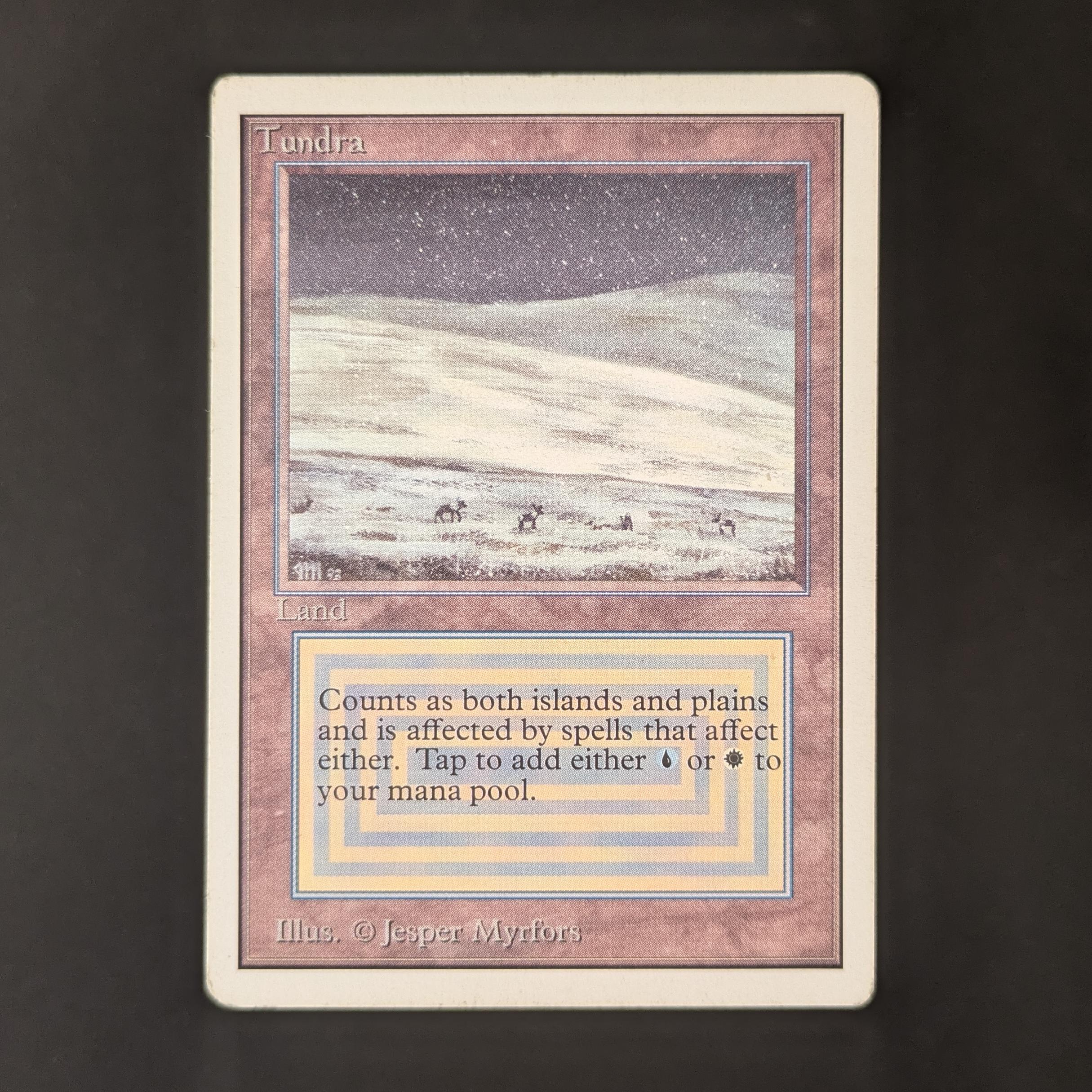 MTG Singles - Tundra - Unlimited - PL - 32731