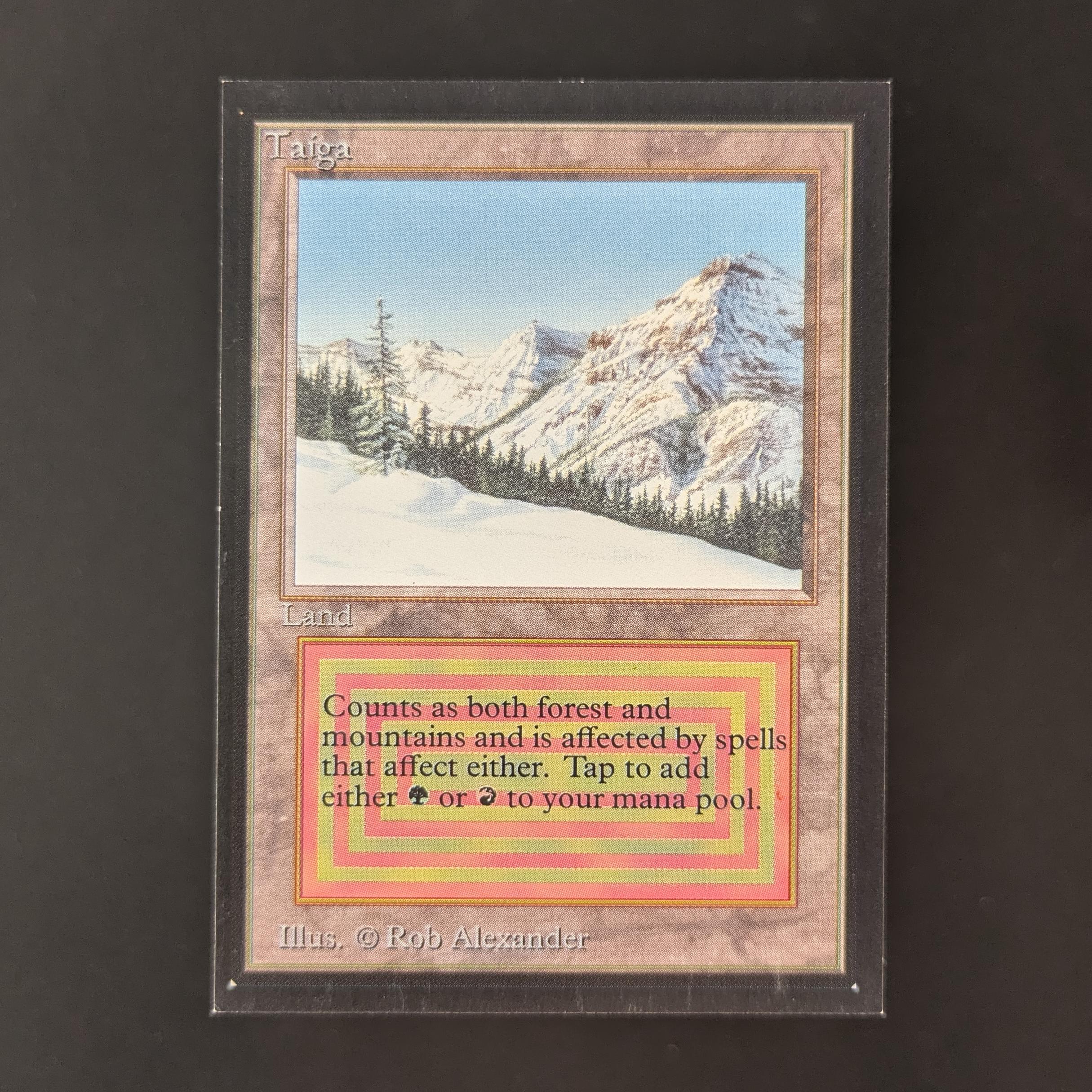 MTG Singles - Taiga - Collectors' Edition - EX - 32787