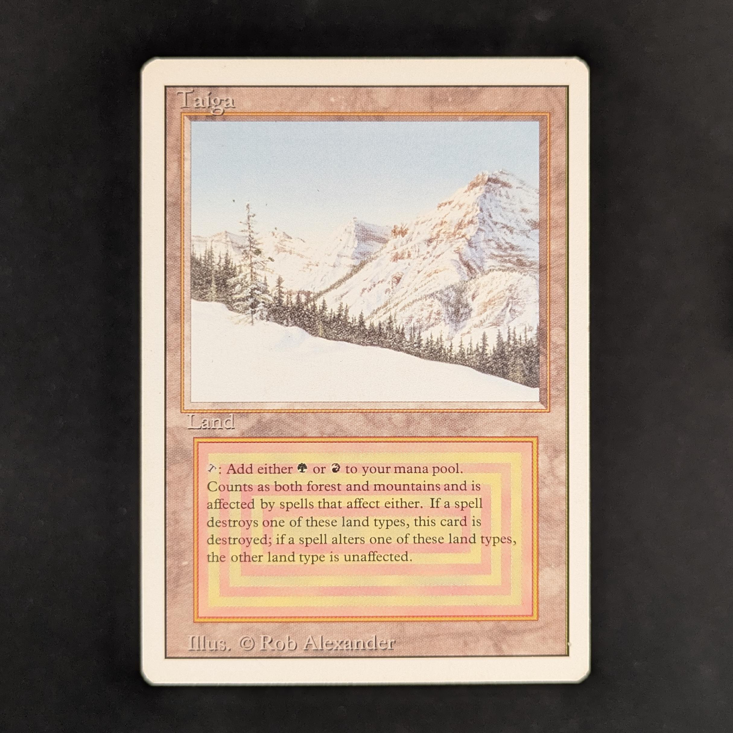 MTG Singles - Taiga - Revised - EX - 32987