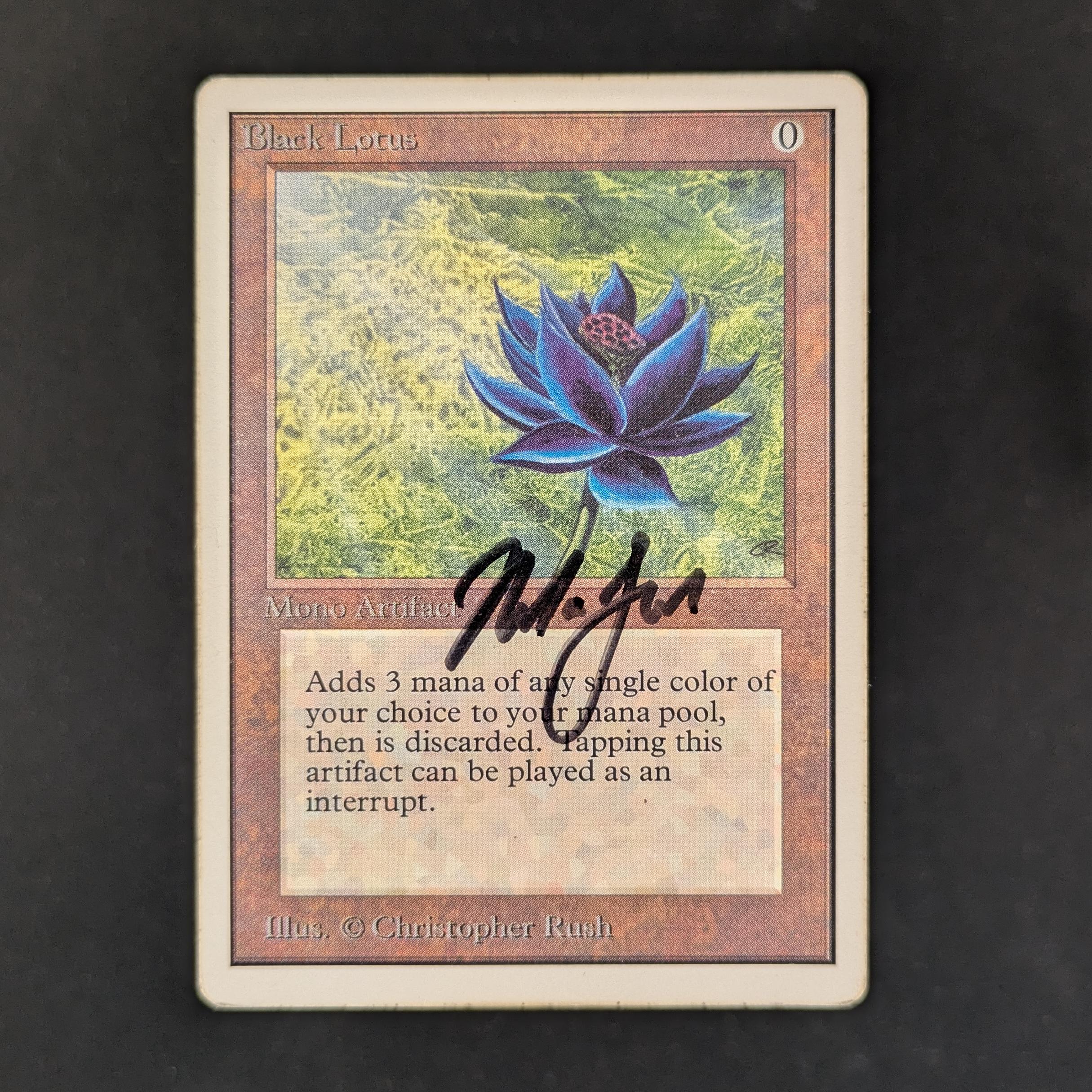 MTG Singles - Black Lotus - Unlimited - PL - SIGNED - 33185