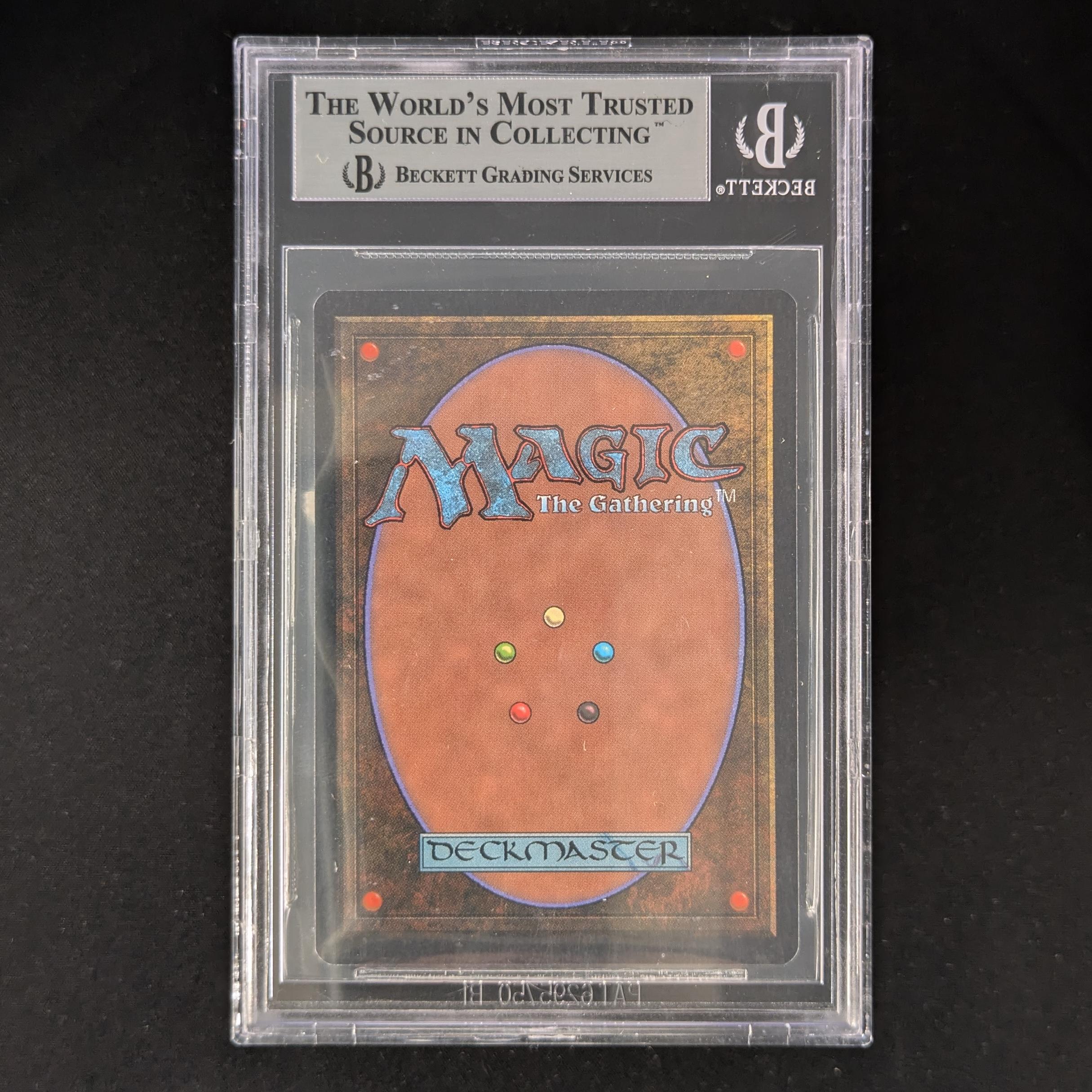 MTG Singles - Camel - Arabian Nights - BGS 9 - 