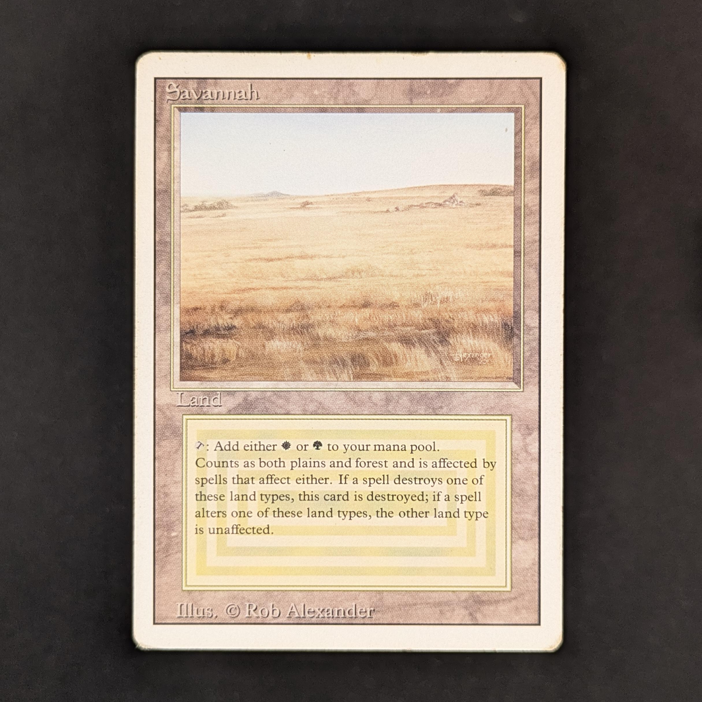 MTG Singles - Savannah - Revised - LP - 33509