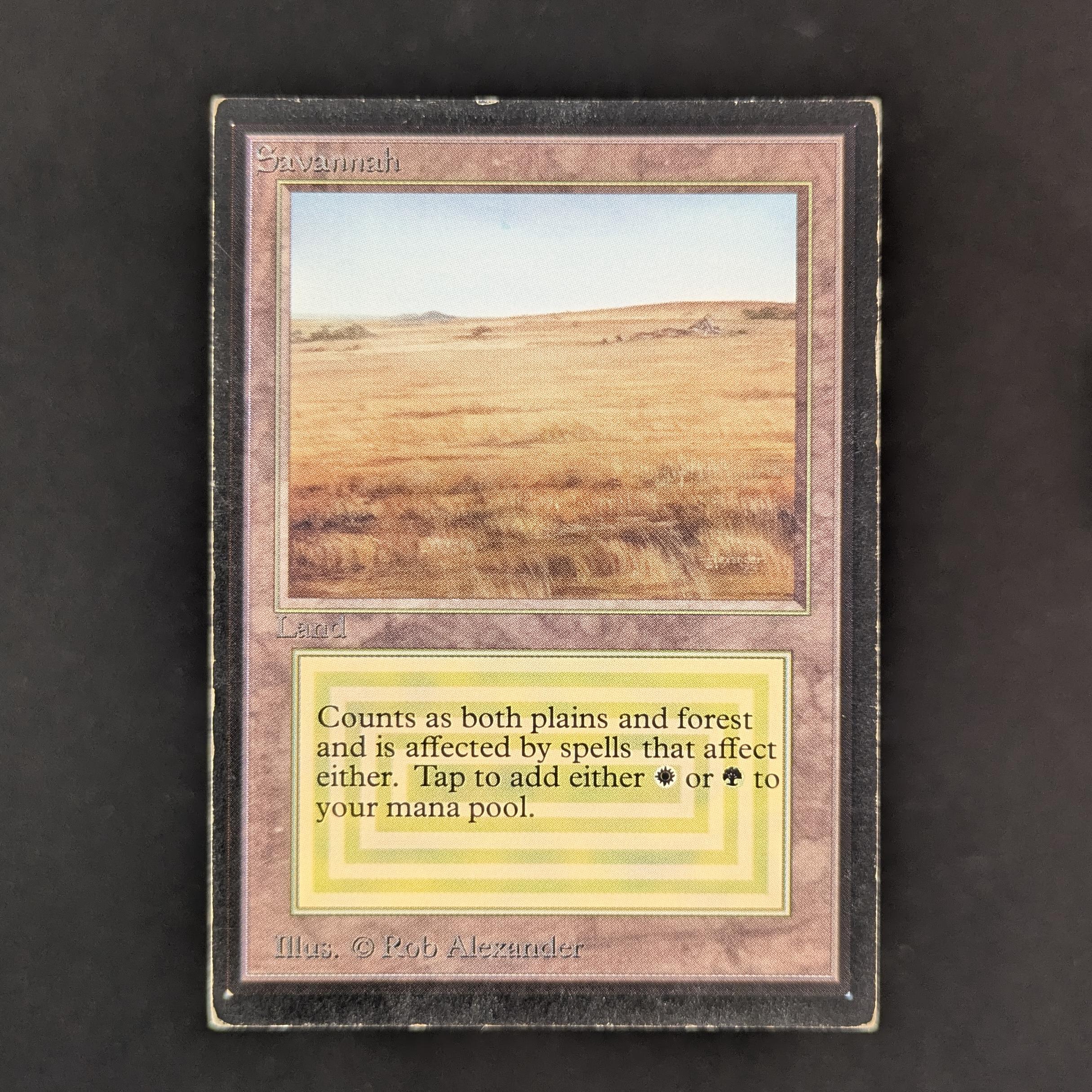 MTG Singles - Savannah - International Edition - PL - 33527