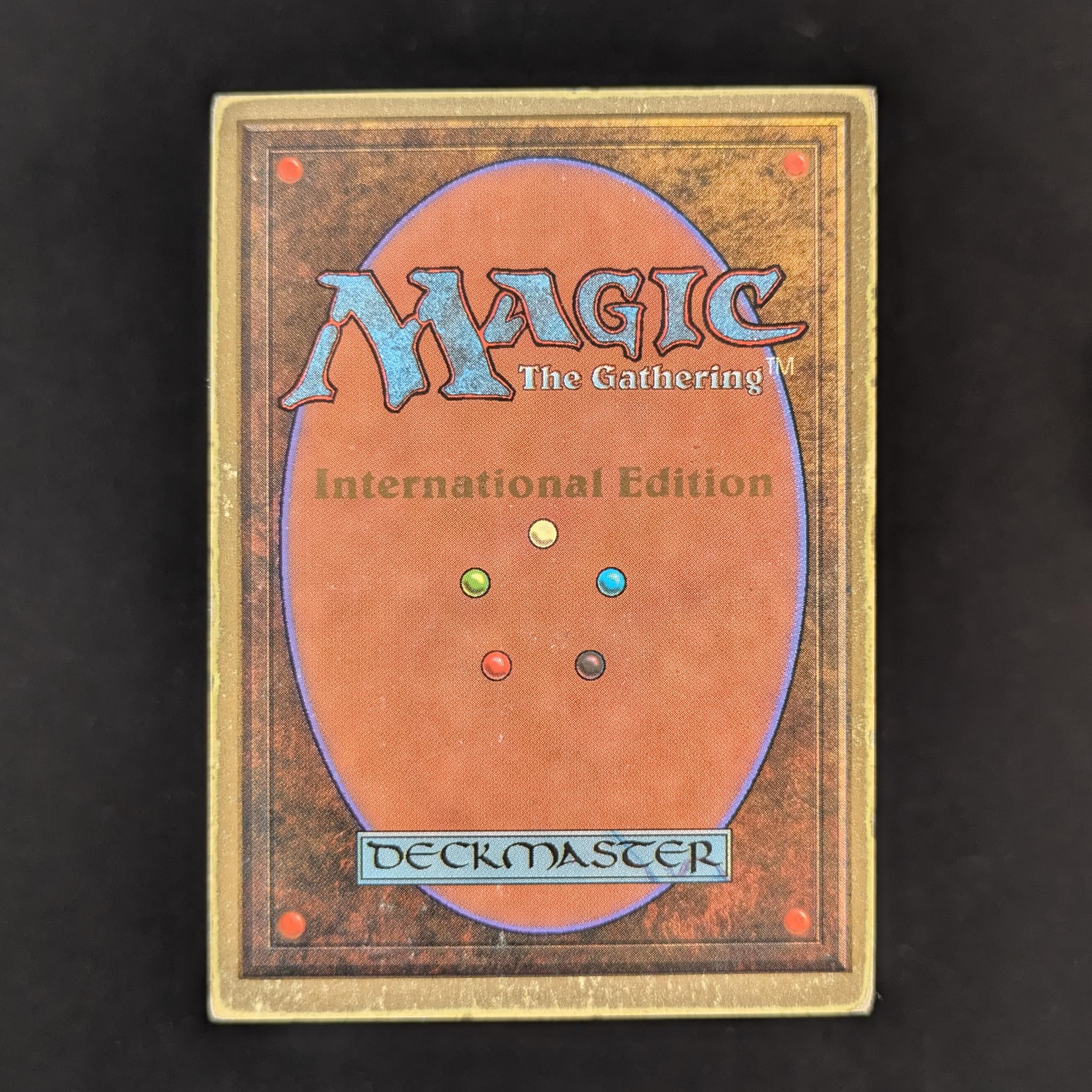 MTG Singles - Tundra - International Edition - 