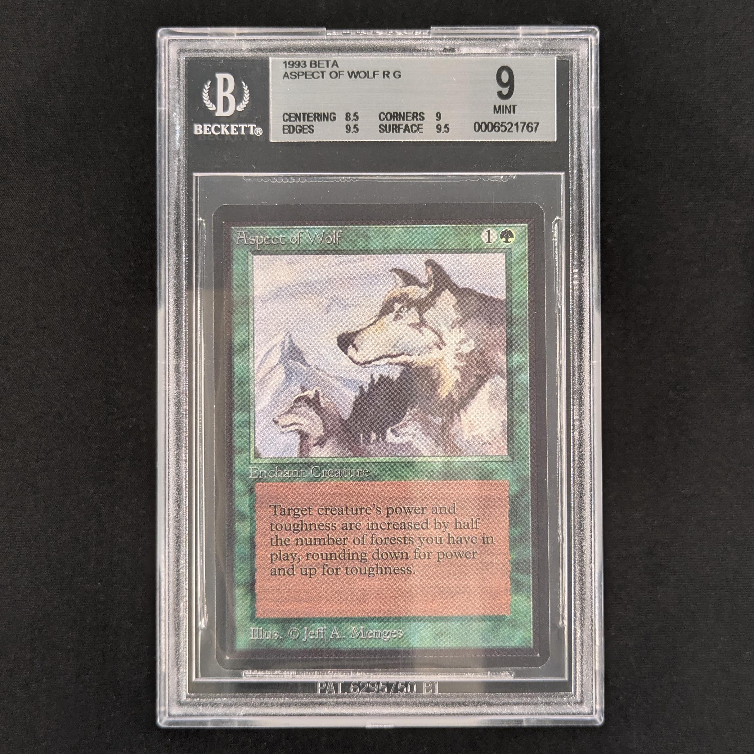 Aspect of Wolf - Beta - English - BGS 9