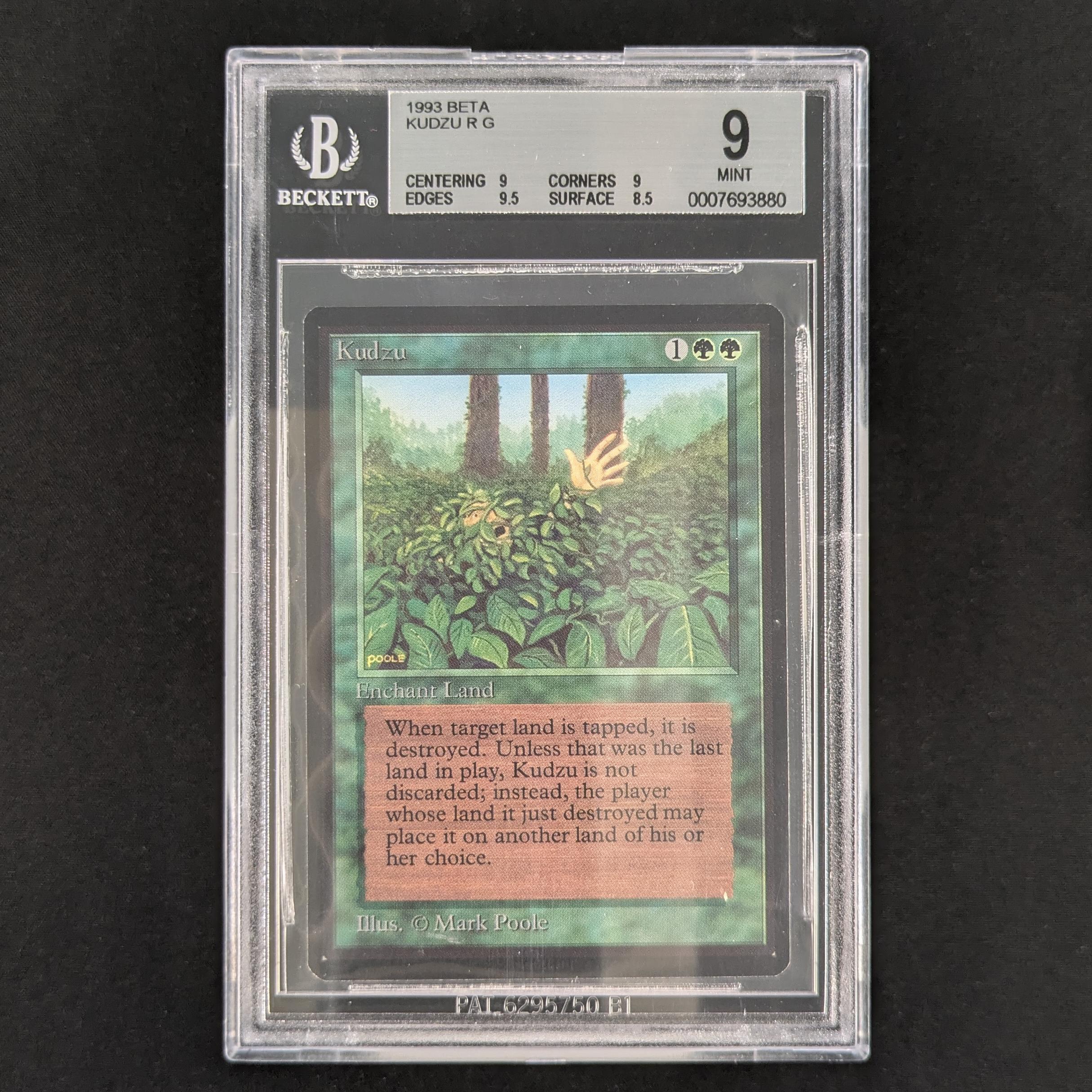 Kudzu - Beta - English - BGS 9