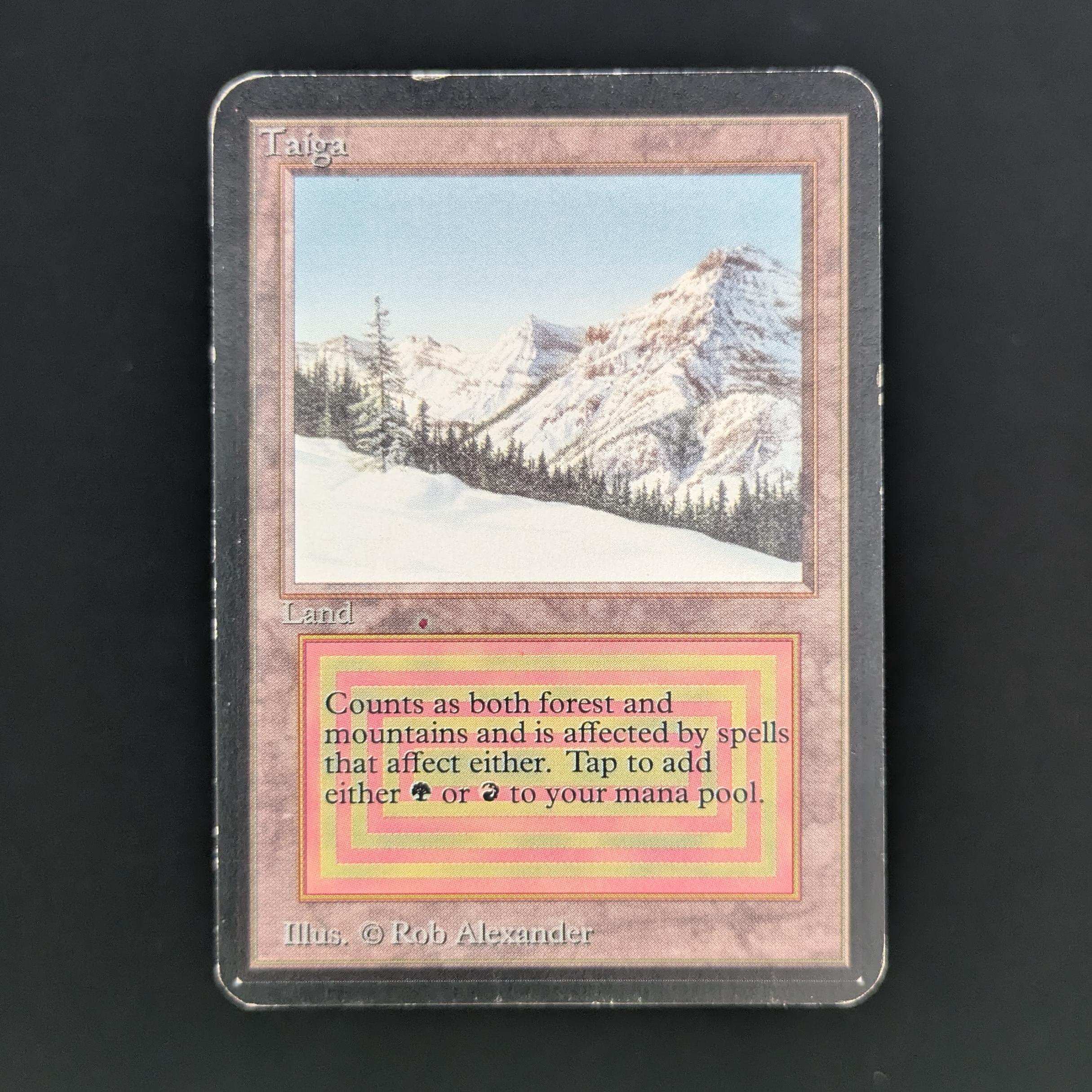 MTG Singles - Taiga - Alpha - PL - 33738