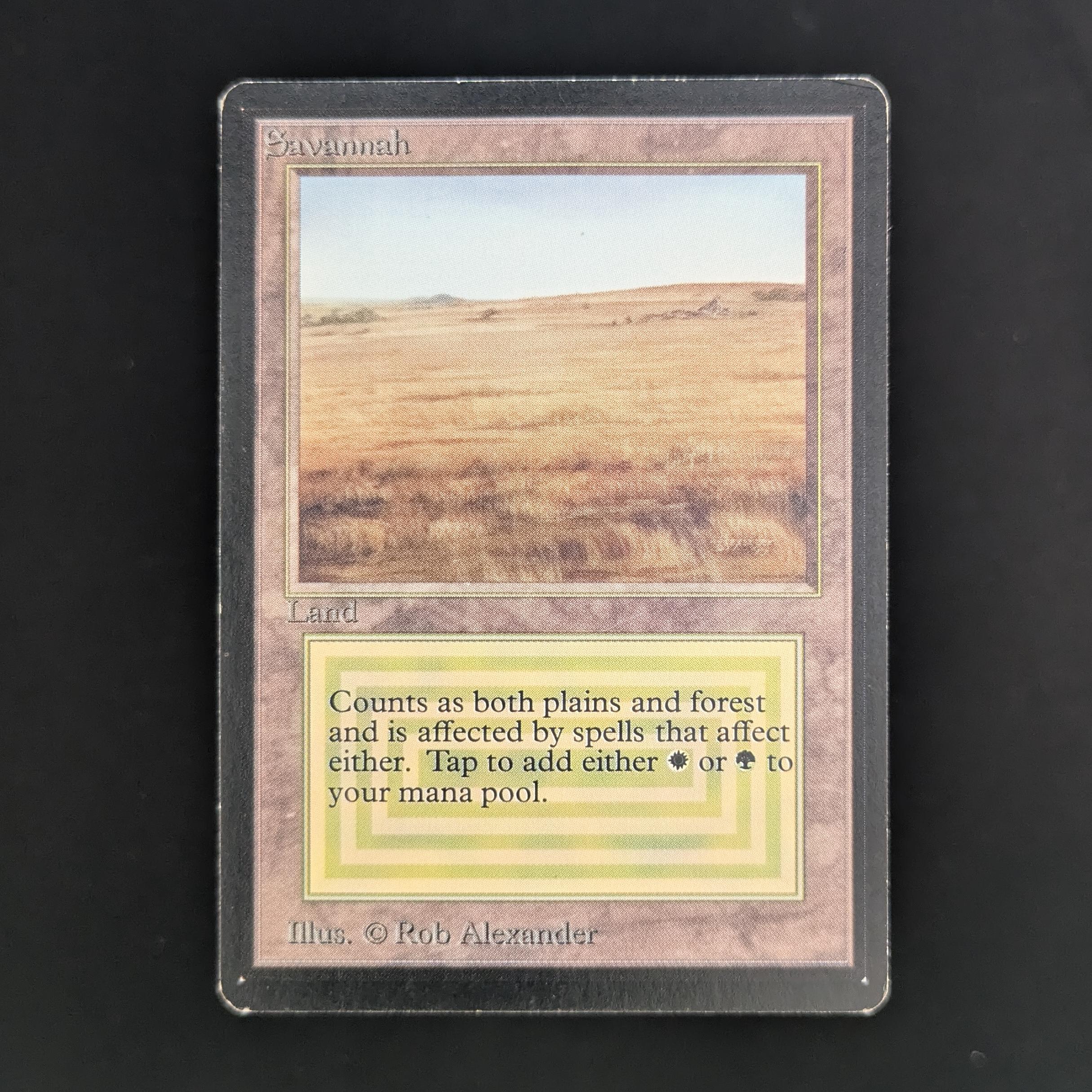 MTG Singles - Savannah - Beta - LP - BINDER DING - 33754