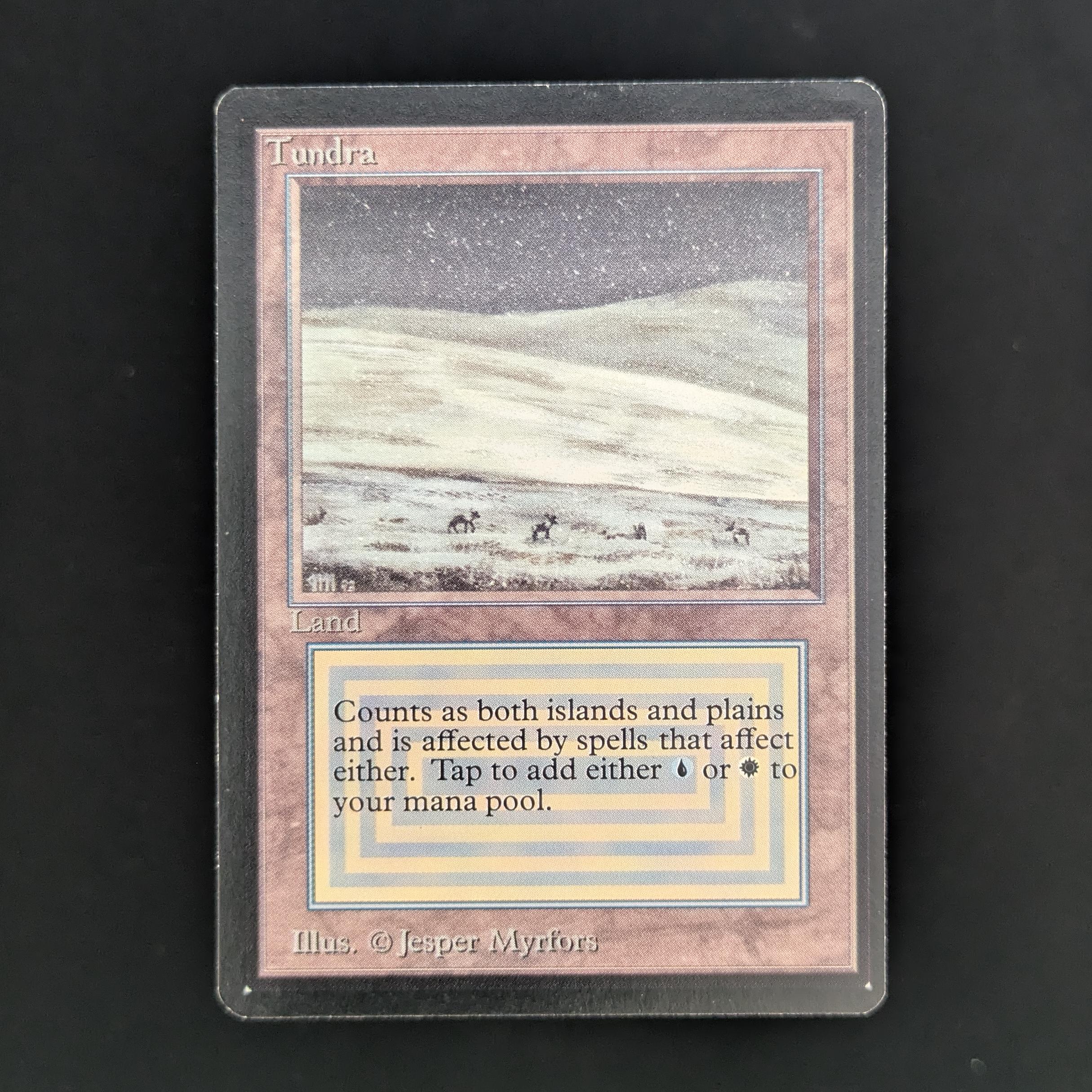 MTG Singles - Tundra - Beta - GD - 33761