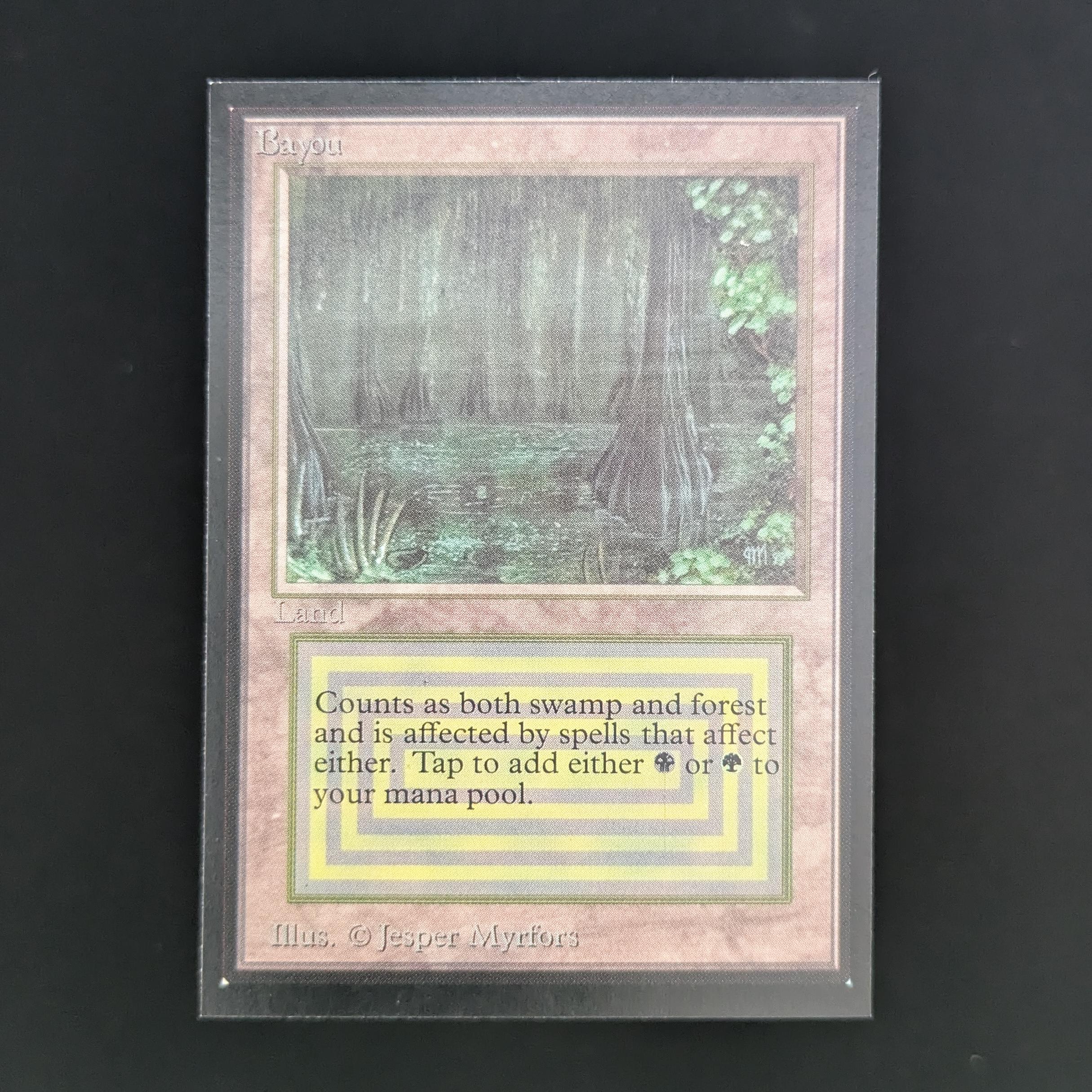 MTG Singles - Bayou - International Edition - NM - 33841