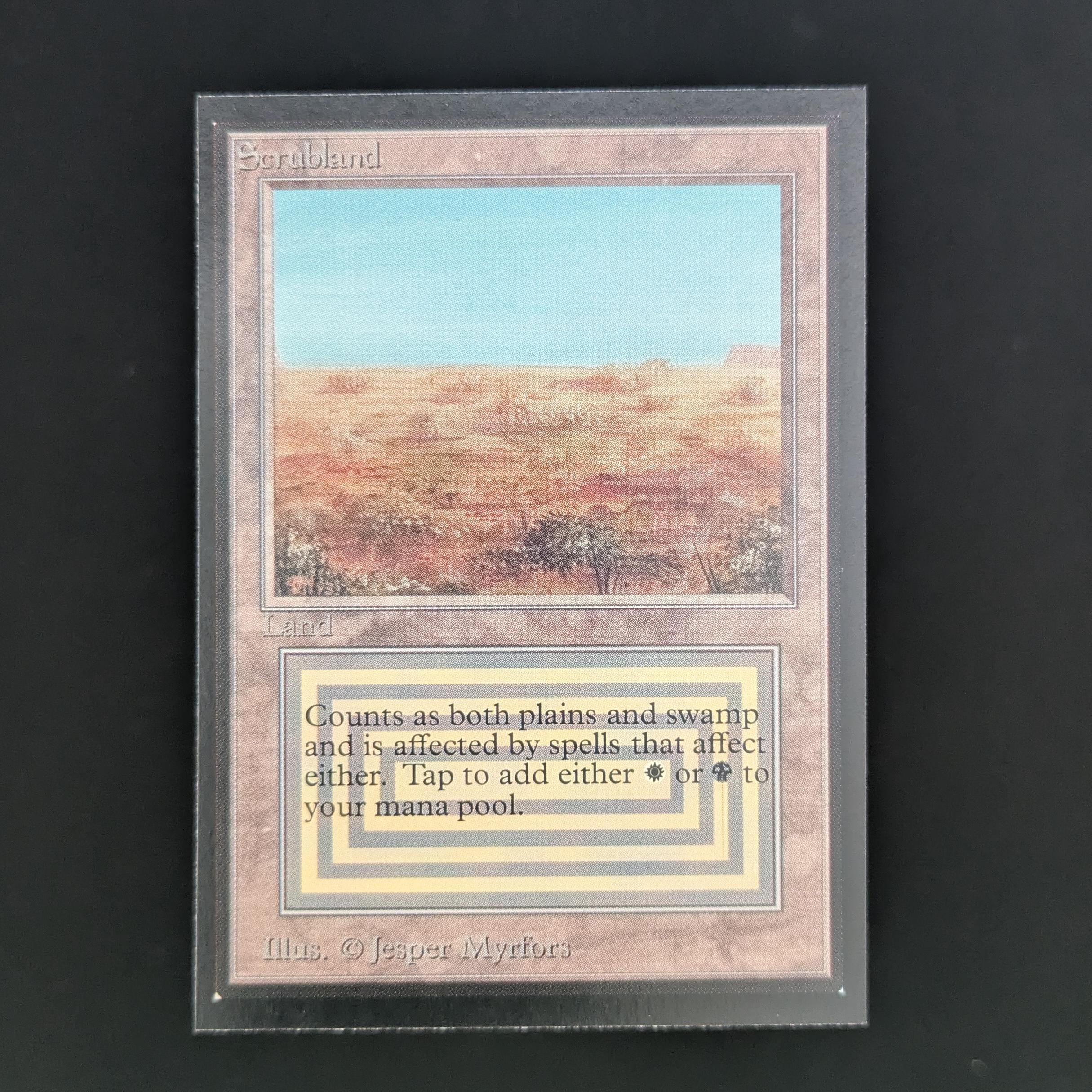 MTG Singles - Scrubland - International Edition - NM - 33844