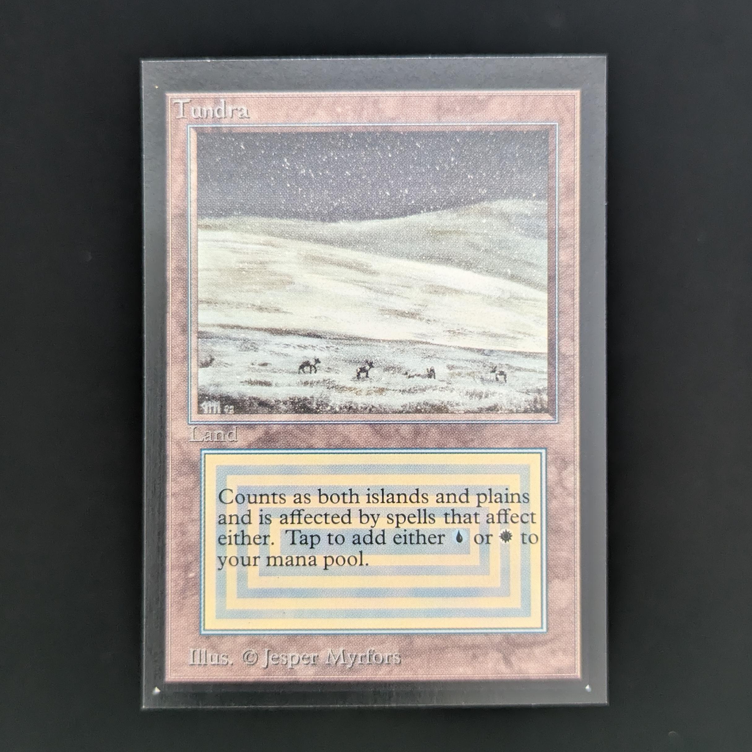 MTG Singles - Tundra - International Edition - NM - 33847