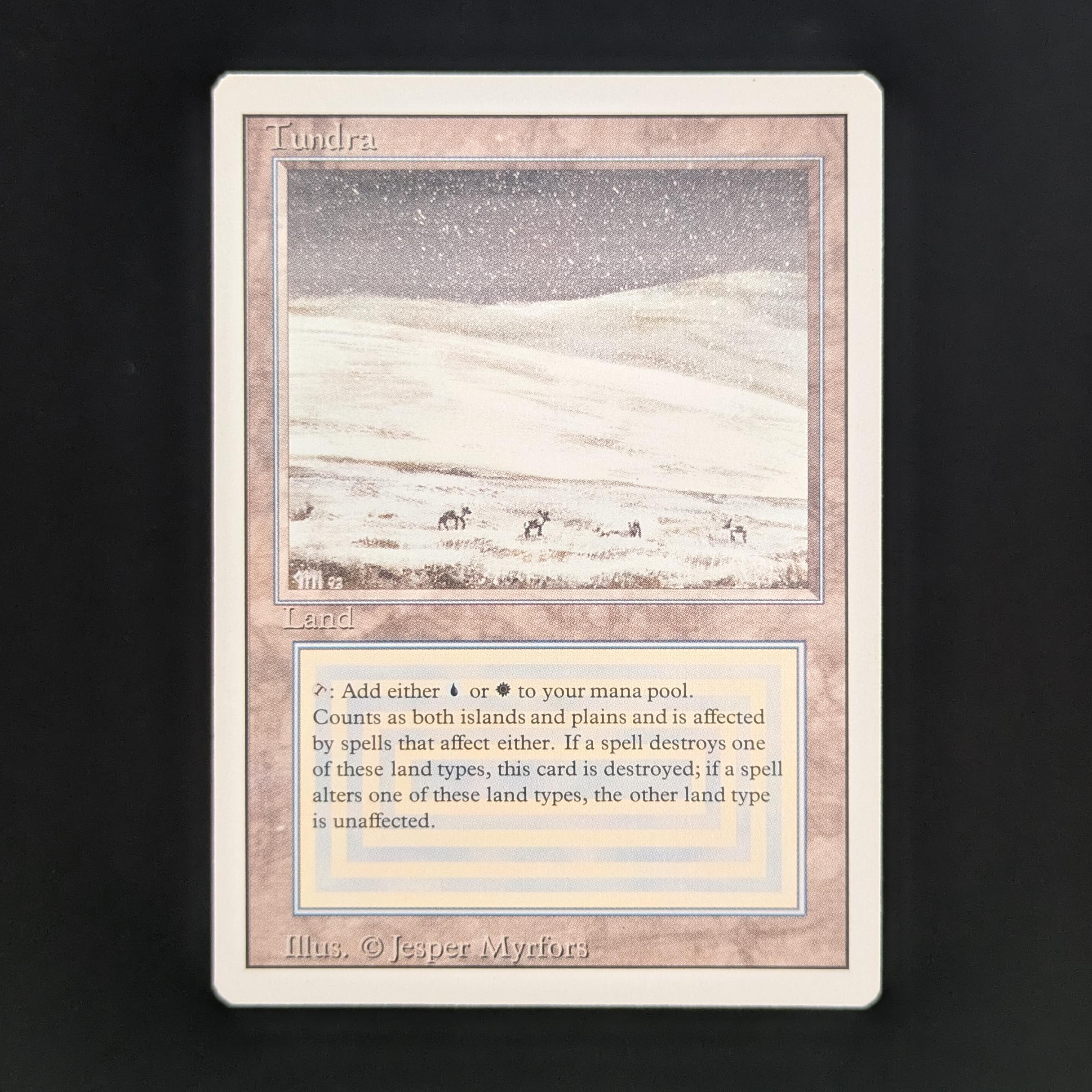 MTG Singles - Tundra - Revised - EX - 33875