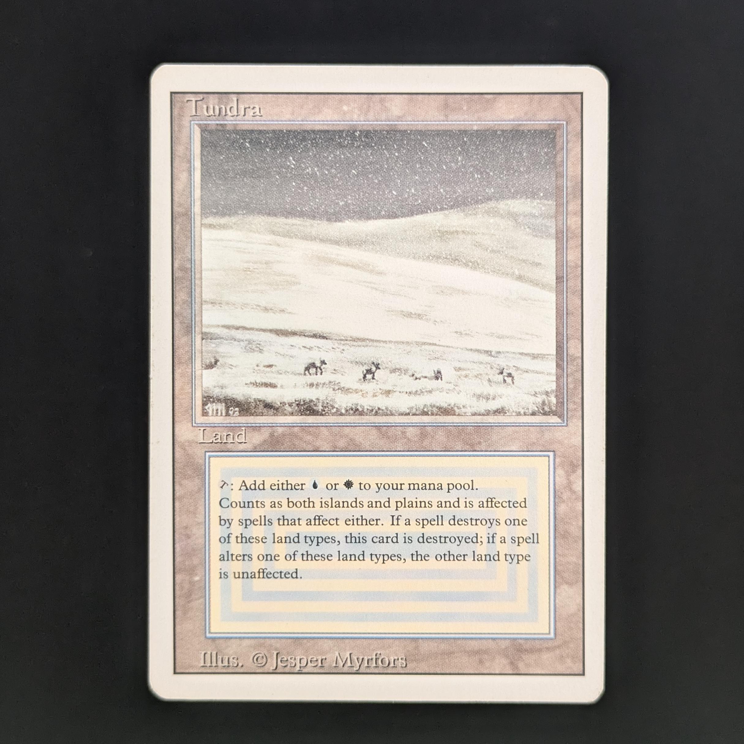 MTG Singles - Tundra - Revised - LP - 33876