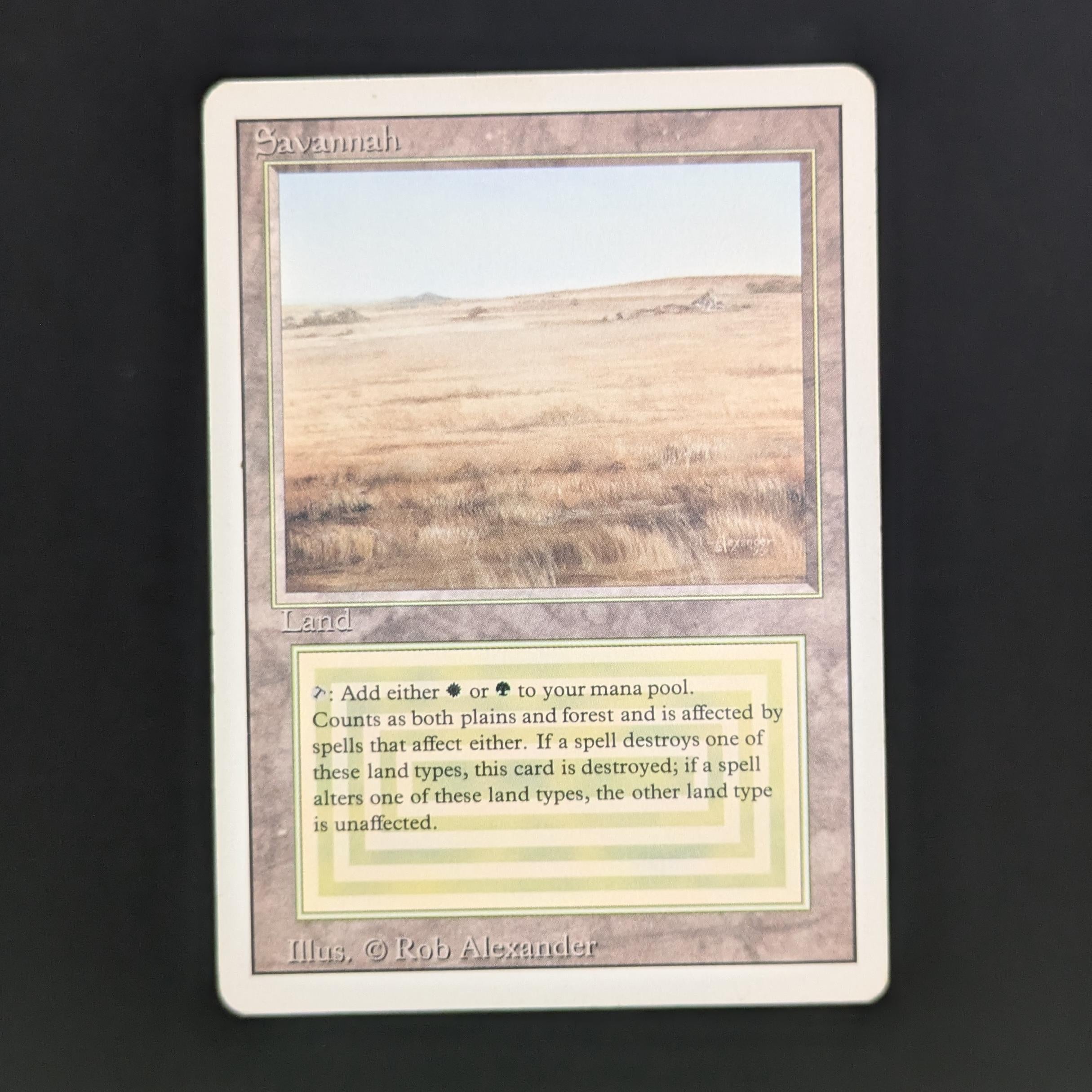MTG Singles - Savannah - Revised - LP - 34078