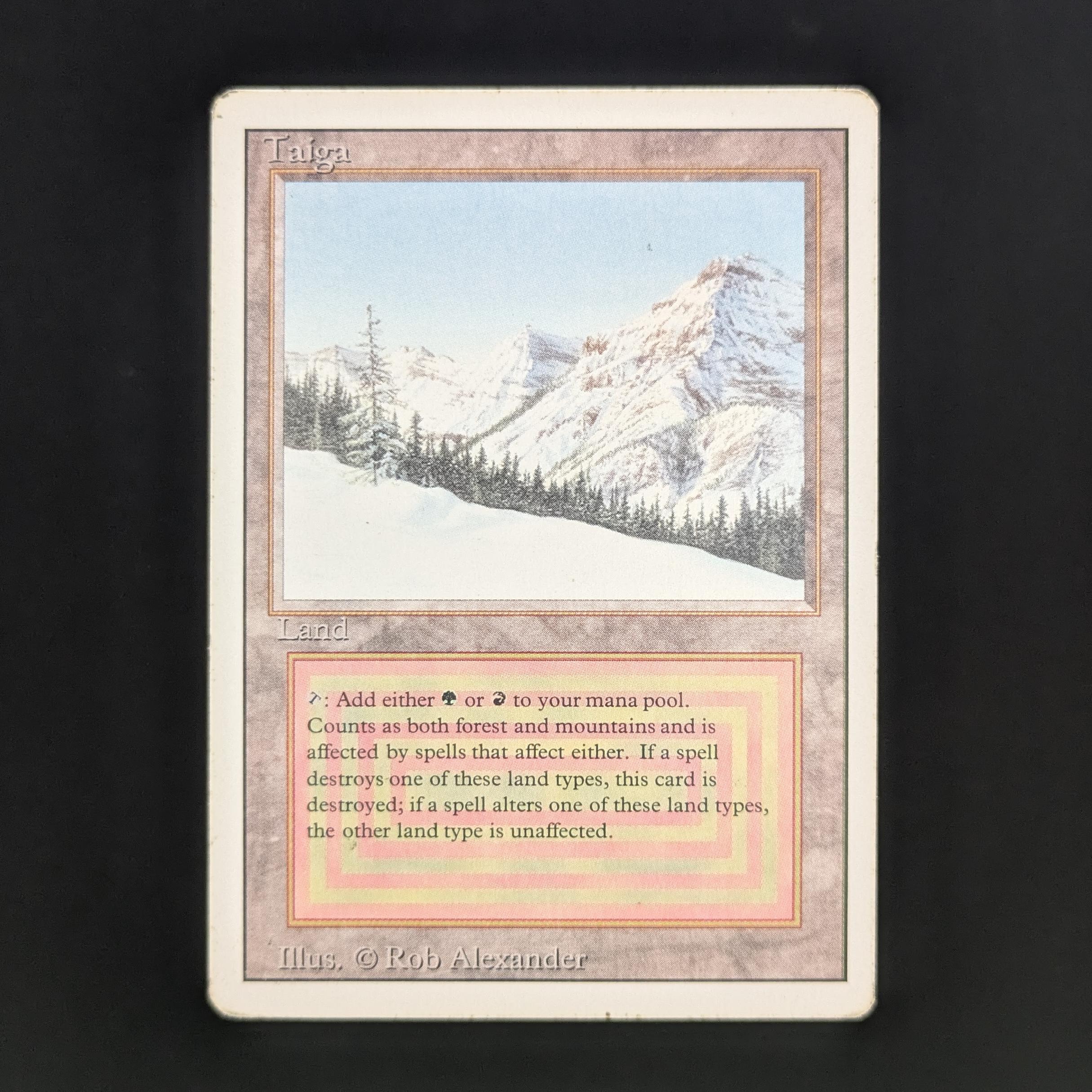 MTG Singles - Taiga - Revised - PL - 34096