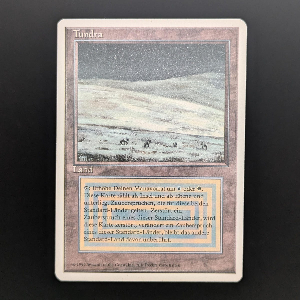 MTG Singles - Tundra - Foreign White Bordered - German - NM - 34149