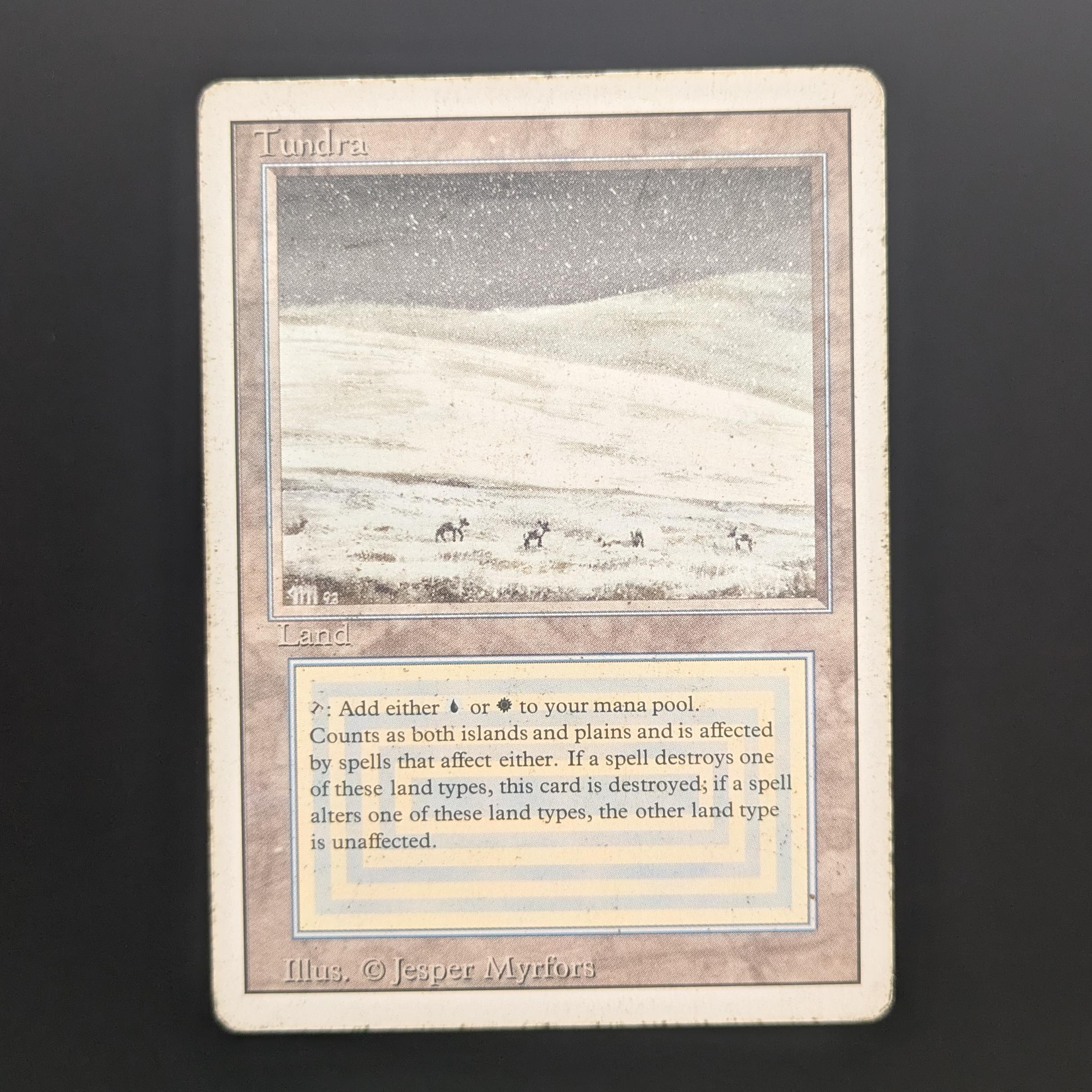 MTG Singles - Tundra - Revised - PL - 34155