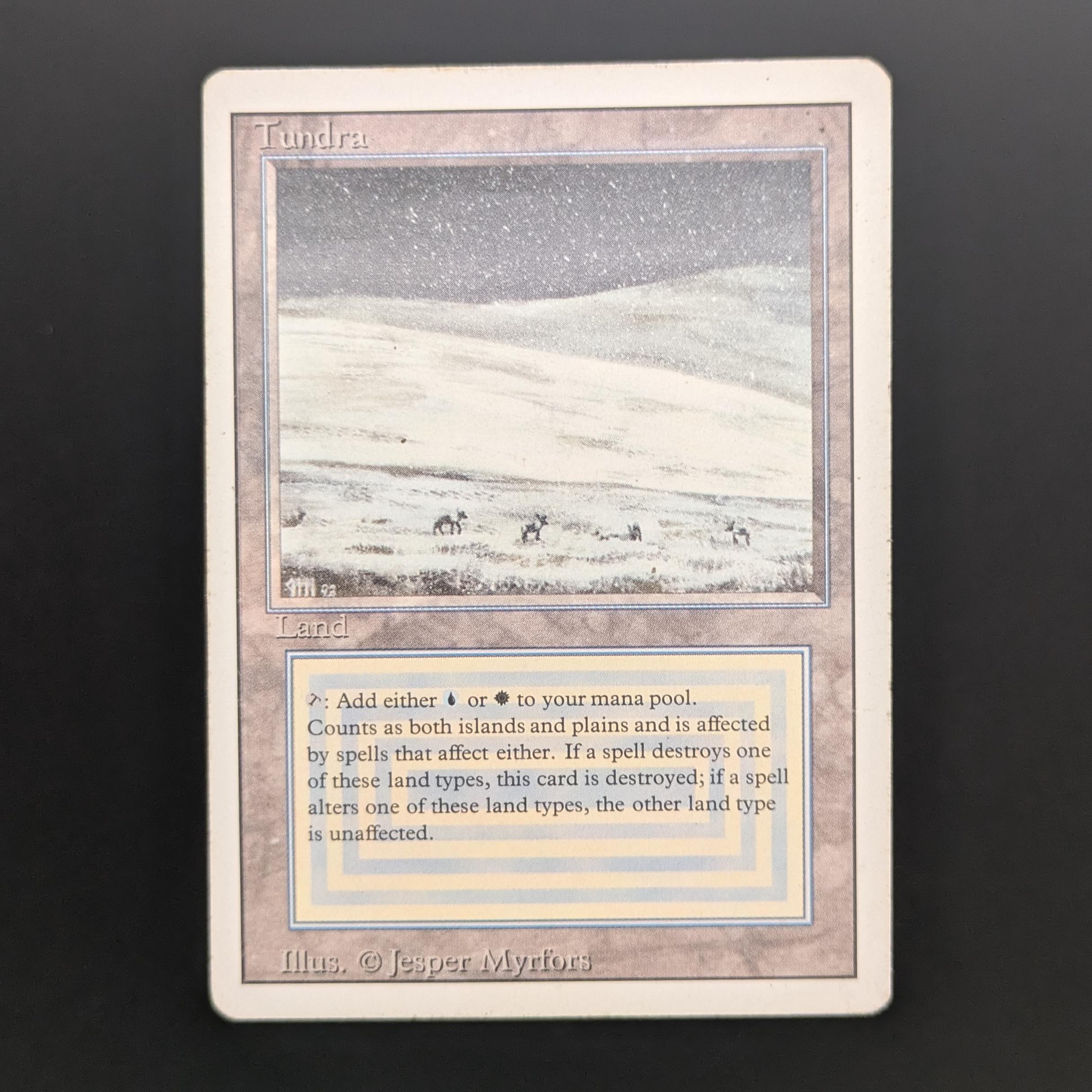 MTG Singles - Tundra - Revised - PL - 34156
