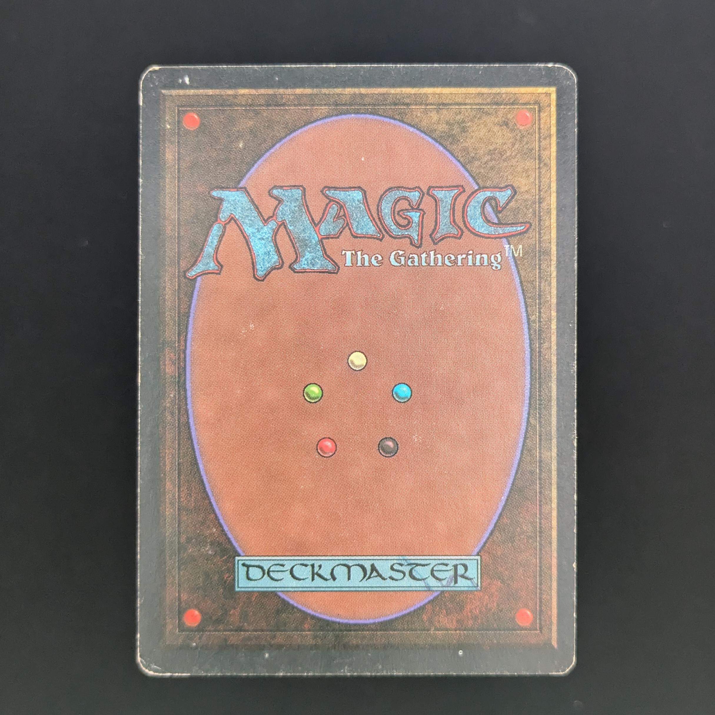MTG Singles - Bayou - Foreign Black Bordered - 