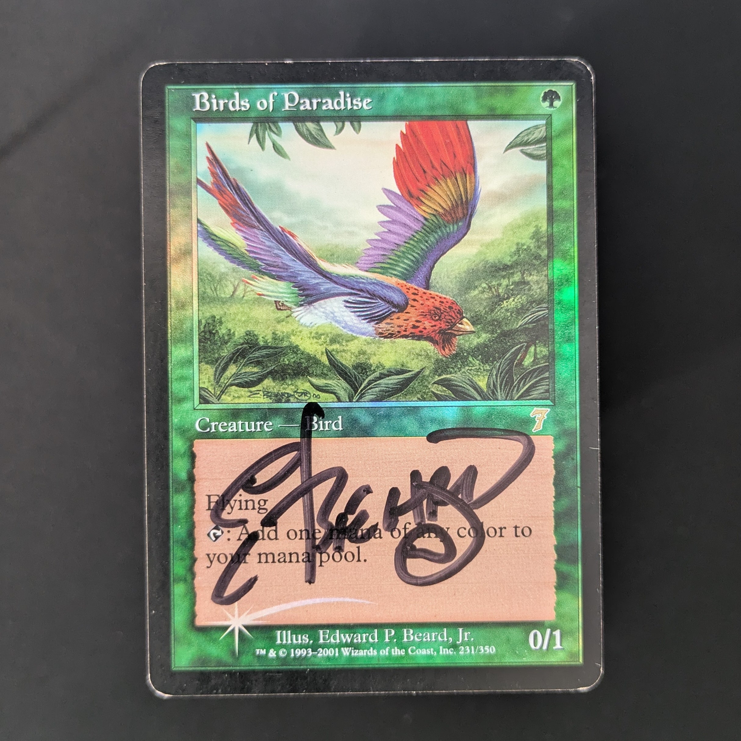 [FOIL] Birds of Paradise - Seventh Edition - PL - SIGNED