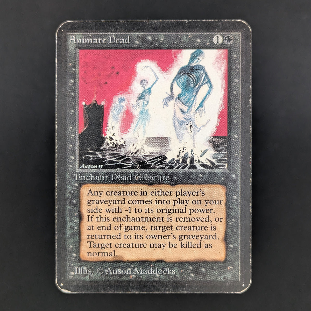 MTG Singles - Animate Dead - Alpha - PL - 34841