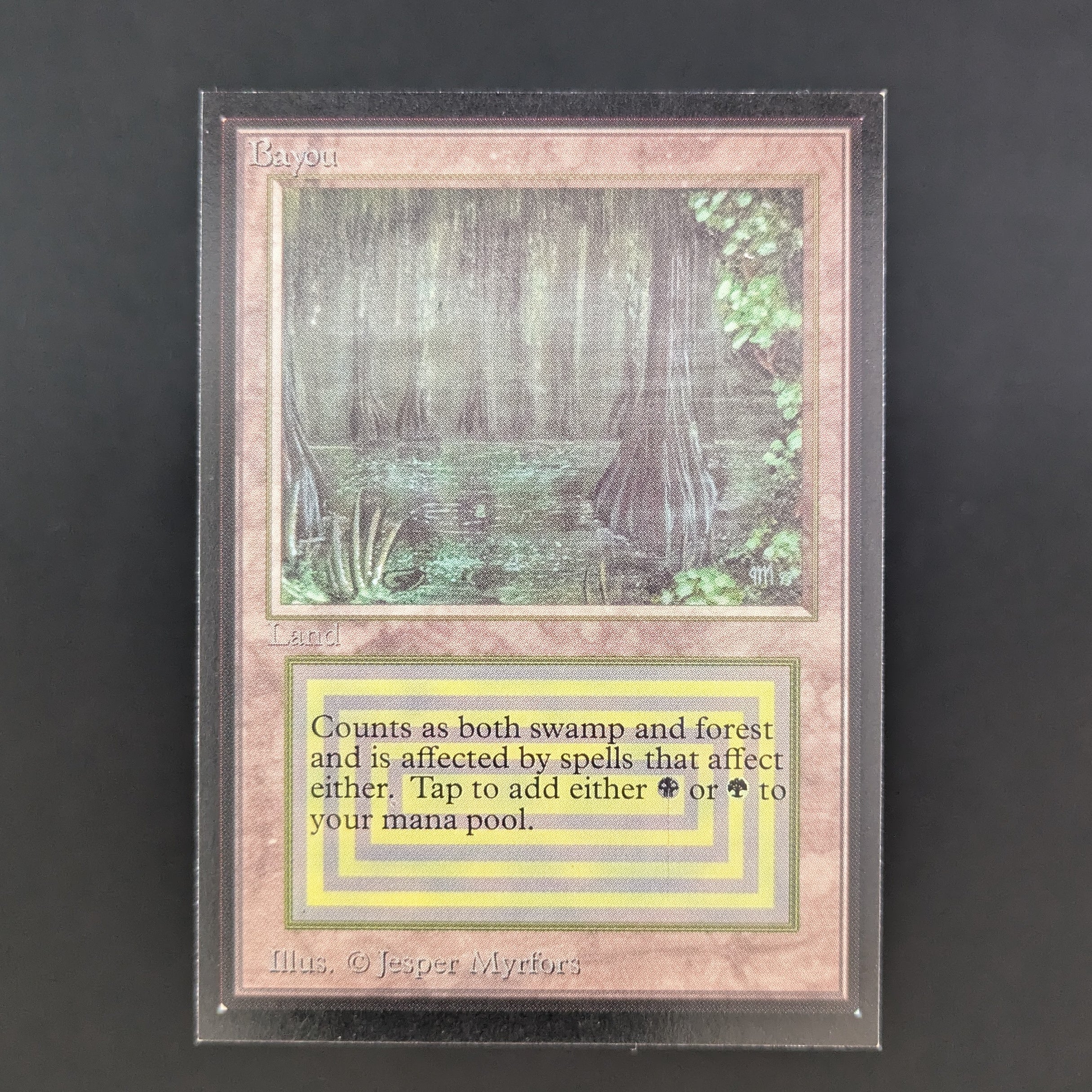 MTG Singles - Bayou - International Edition - NM - 34930
