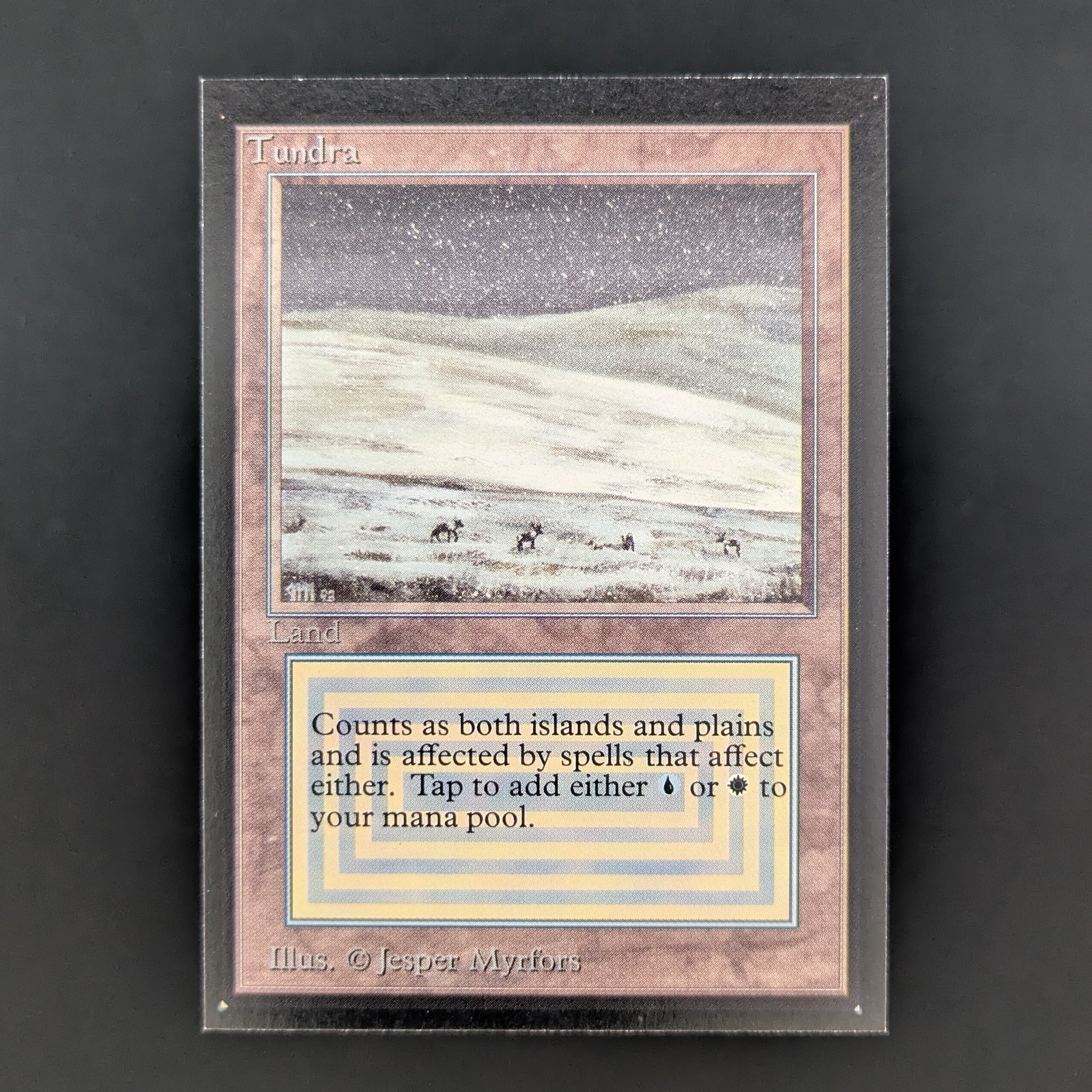 MTG Singles - Tundra - International Edition - NM - 34937