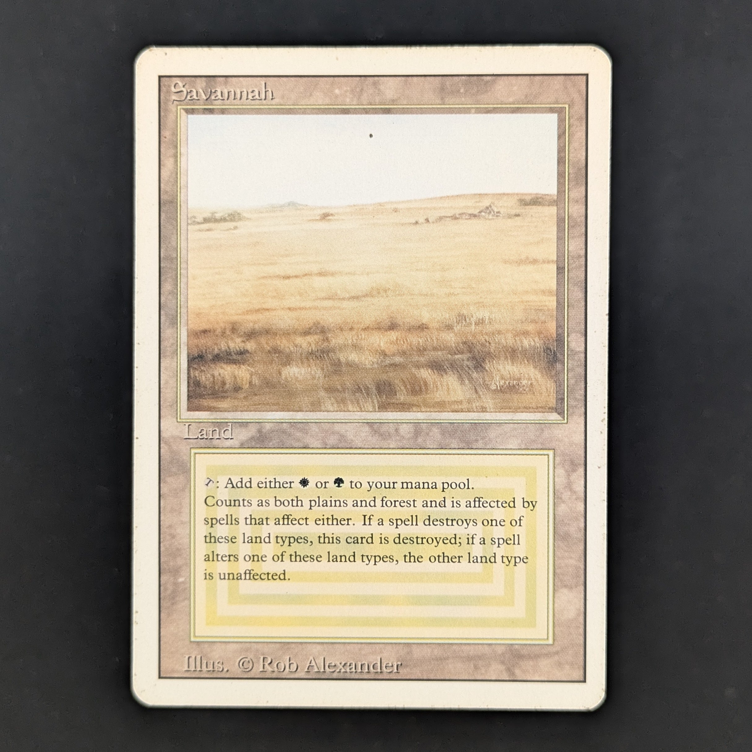 MTG Singles - Savannah - Revised - LP - 35155