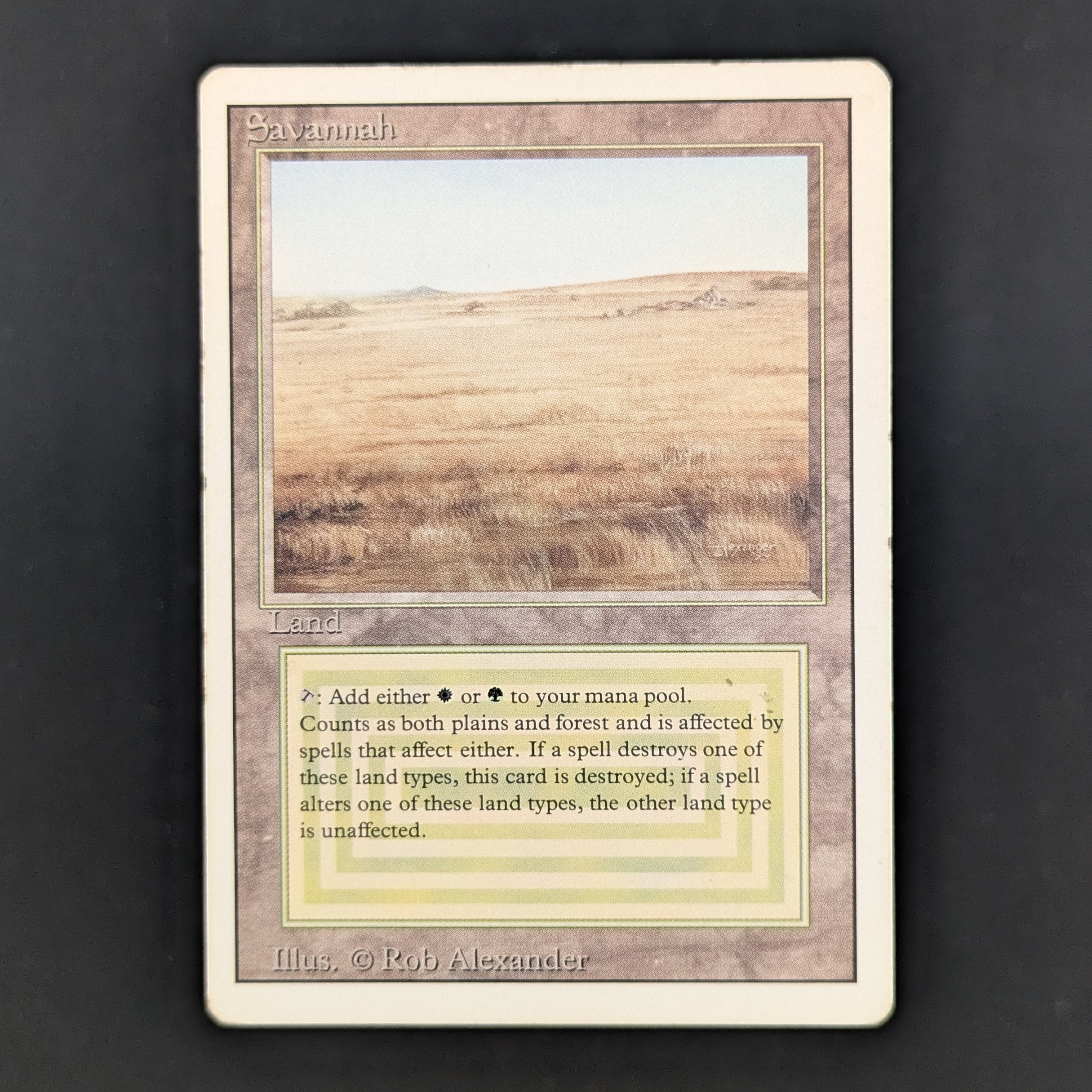 MTG Singles - Savannah - Revised - PL - 35156
