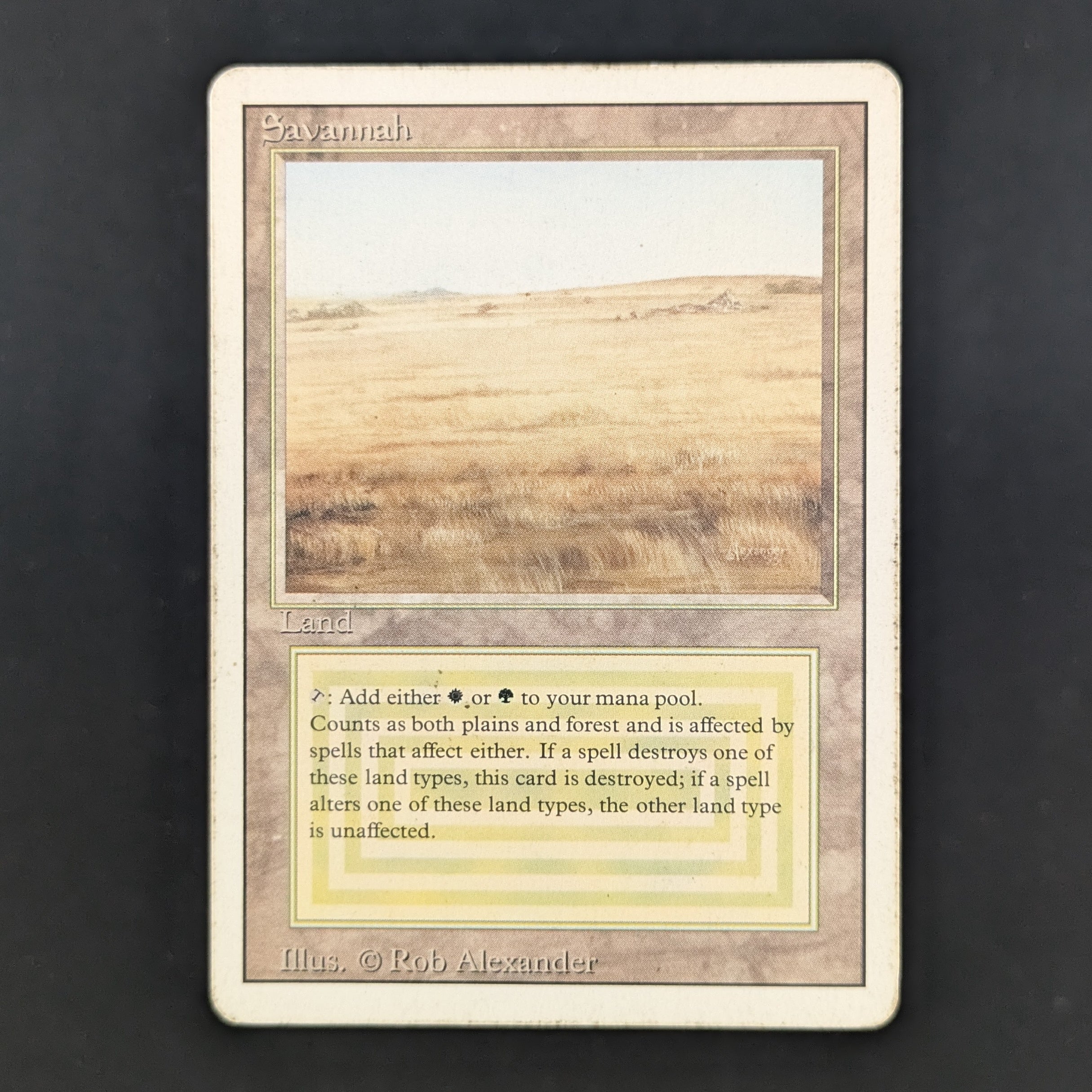 MTG Singles - Savannah - Revised - PL - 35157