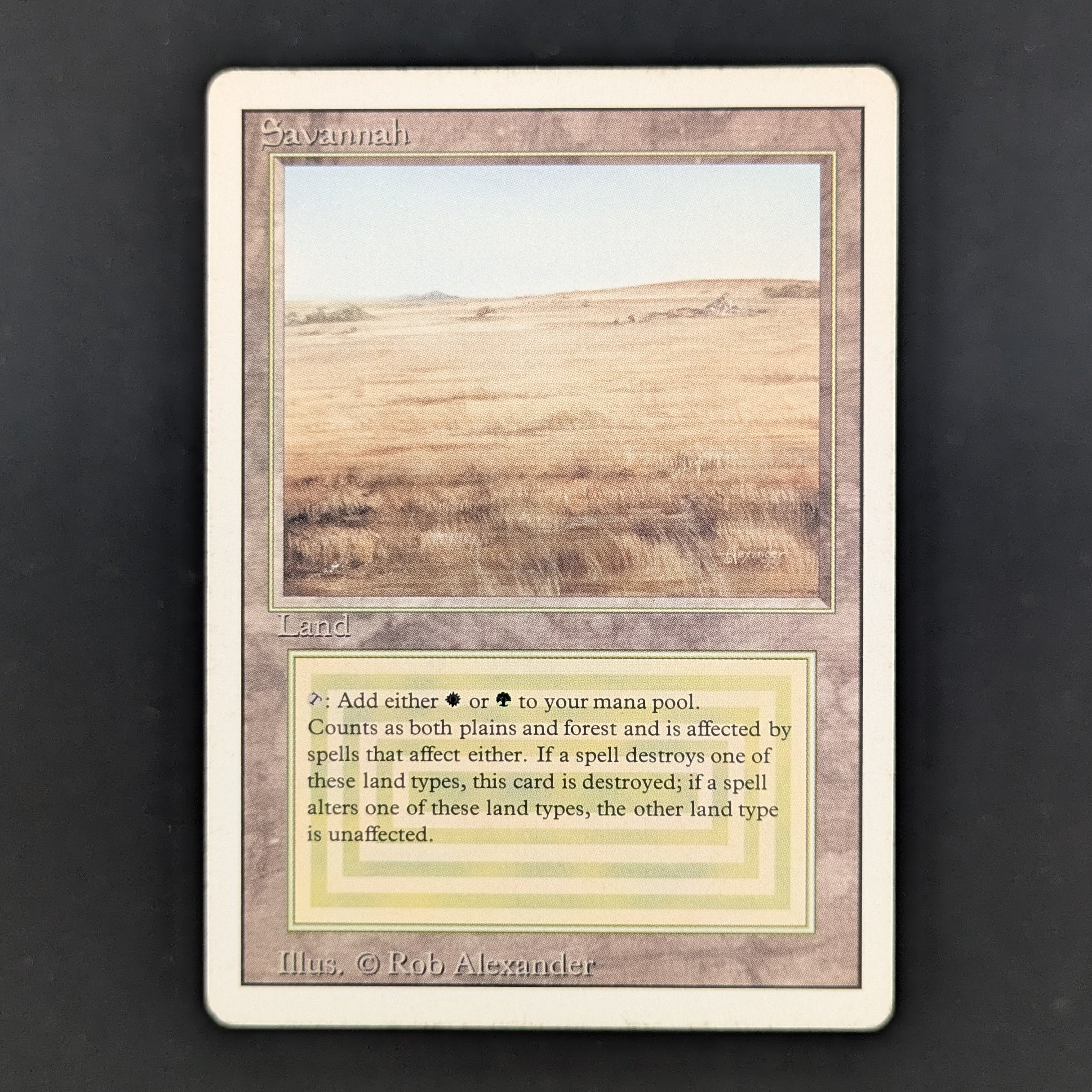 MTG Singles - Savannah - Revised - PL - 35158