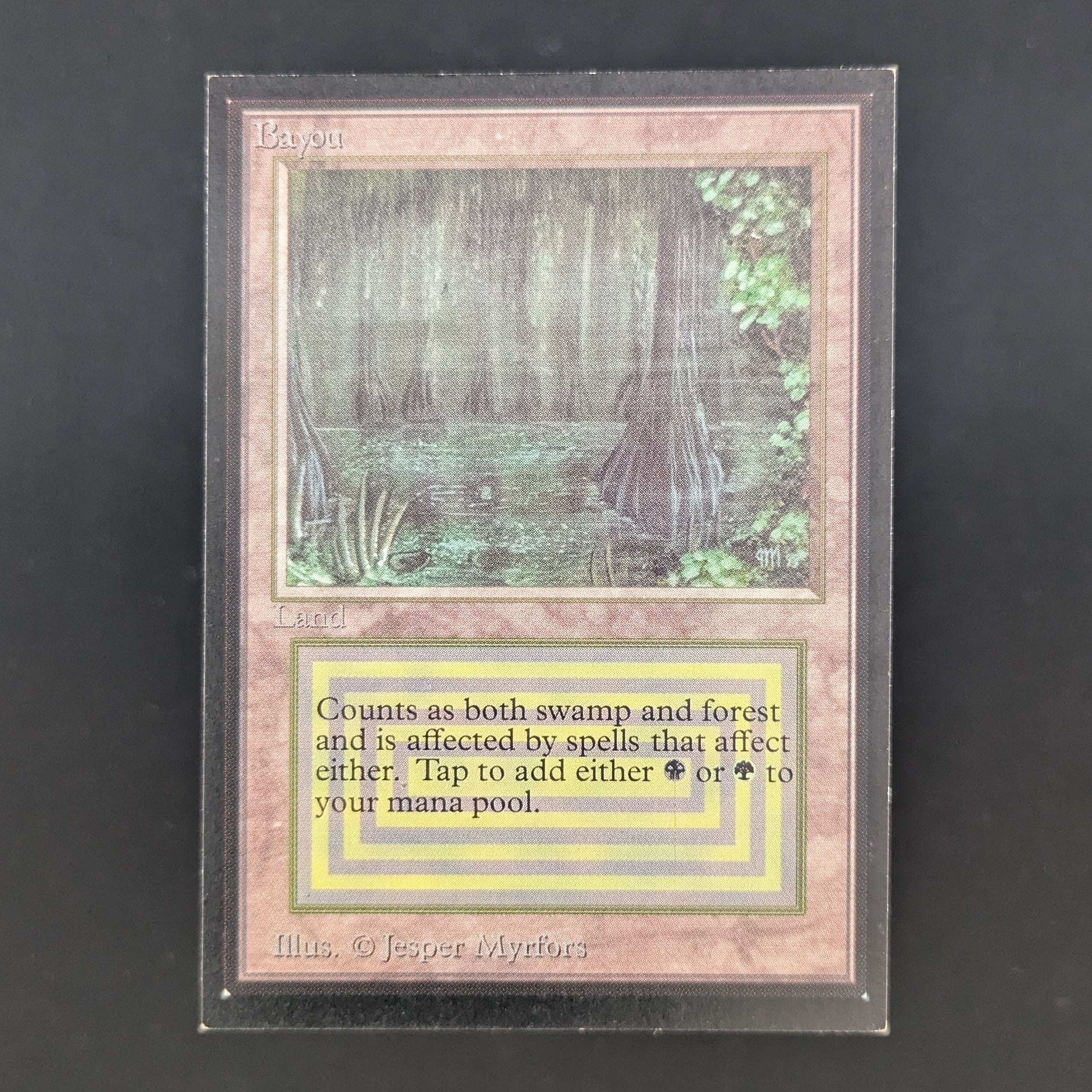 MTG Singles - Bayou - International Edition - EX - 35199