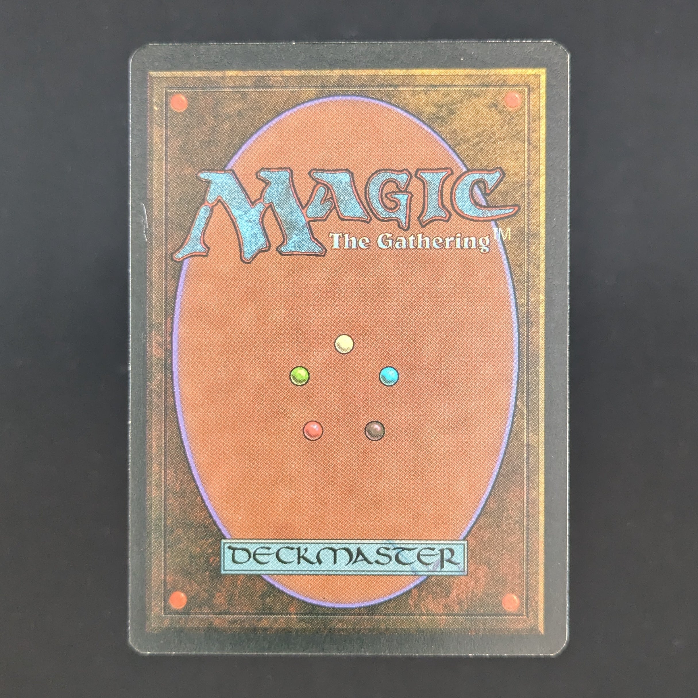 MTG Singles - Taiga - Foreign White Bordered - 
