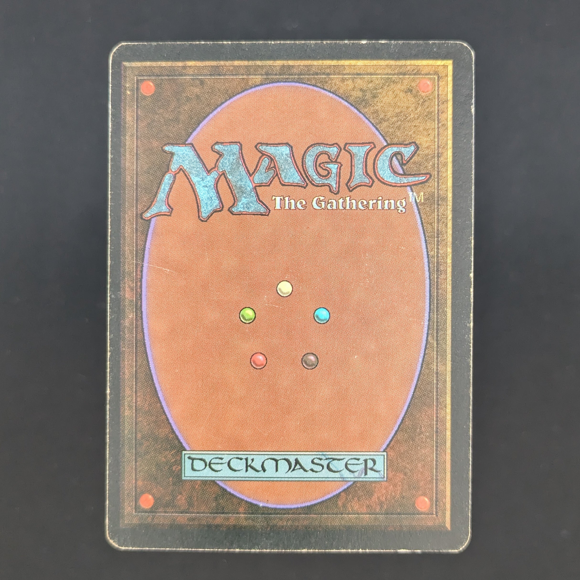 MTG Singles - Taiga - Foreign White Bordered - 