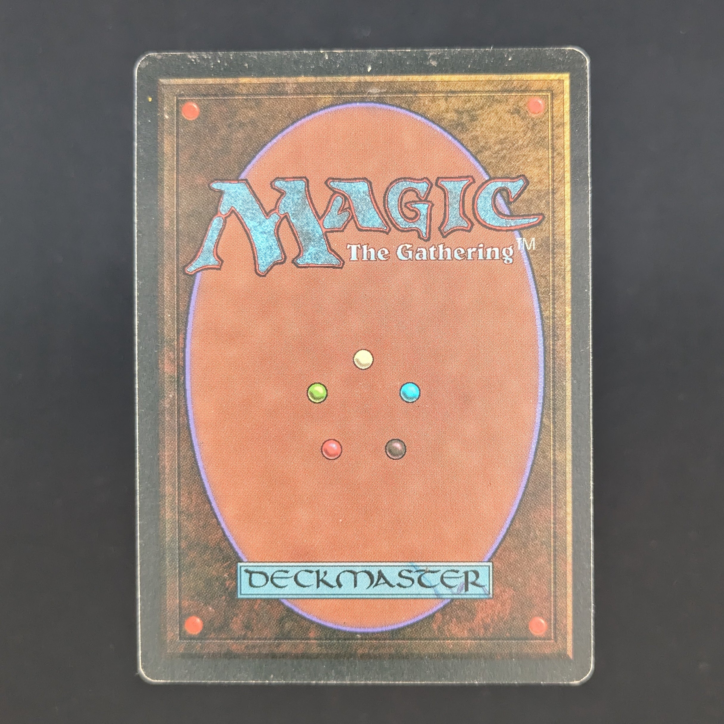 MTG Singles - Bayou - Foreign Black Bordered - 