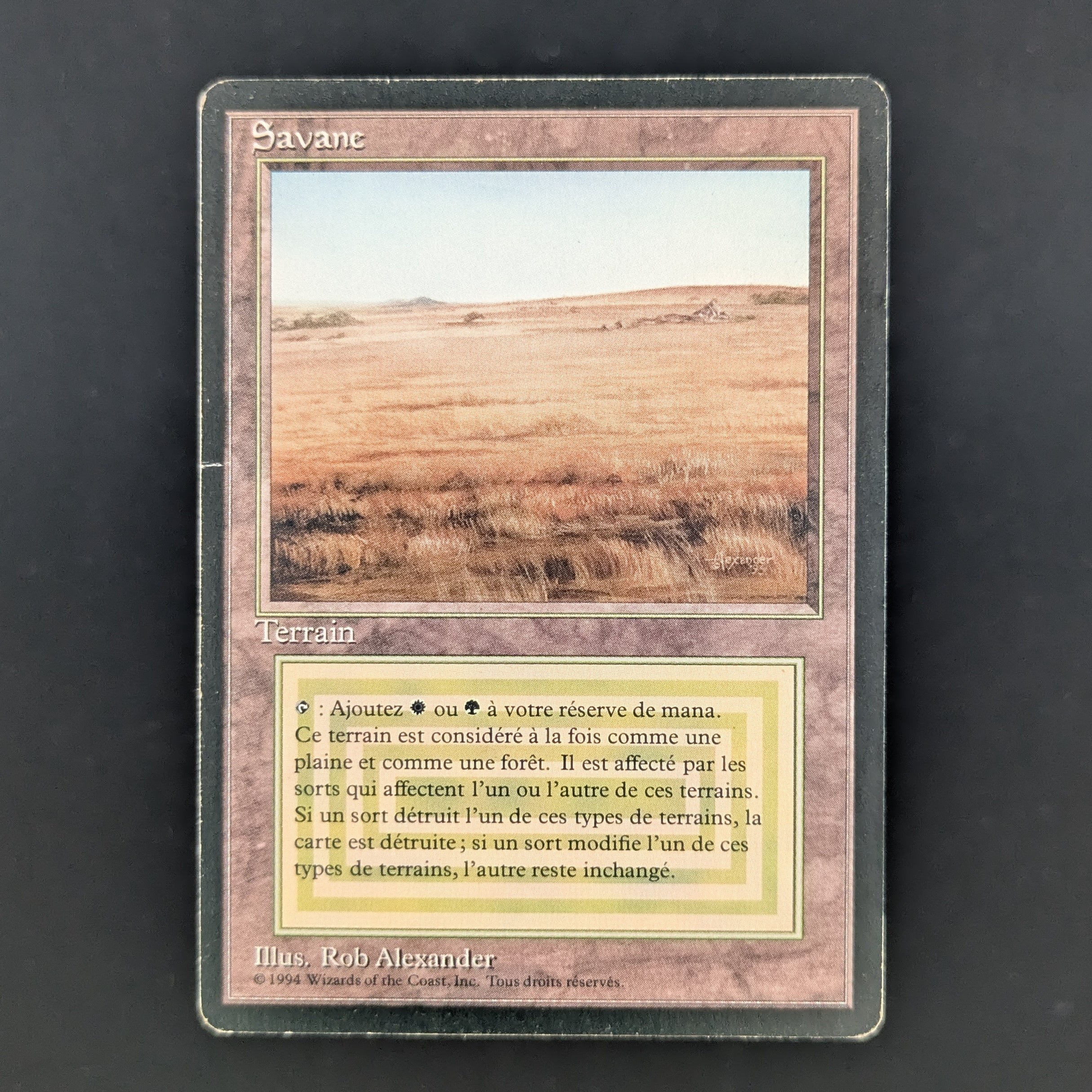 MTG Singles - Savannah - Foreign Black Bordered - French - PO - INKED - 35276