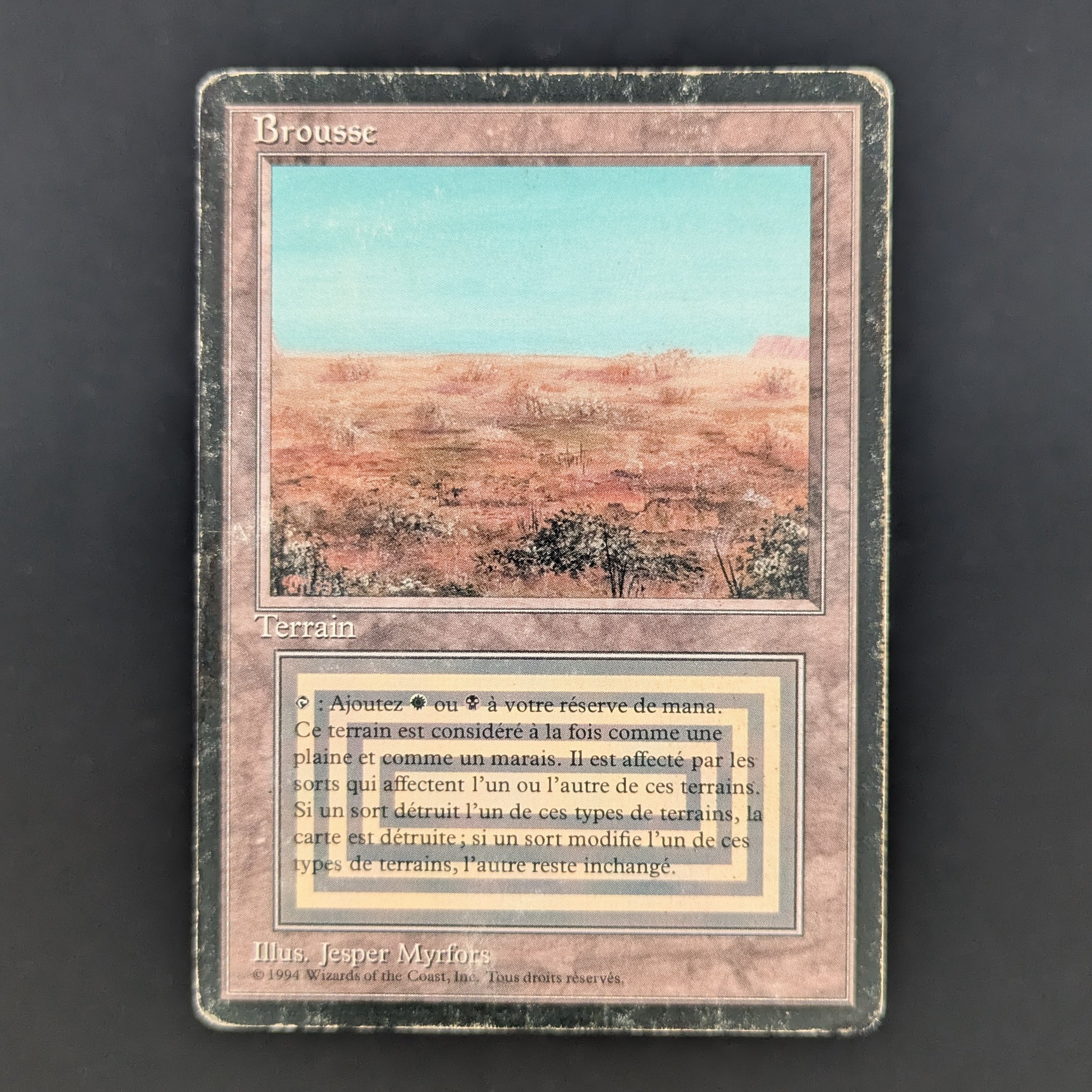 MTG Singles - Scrubland - Foreign Black Bordered - French - PO - INKED - 35282