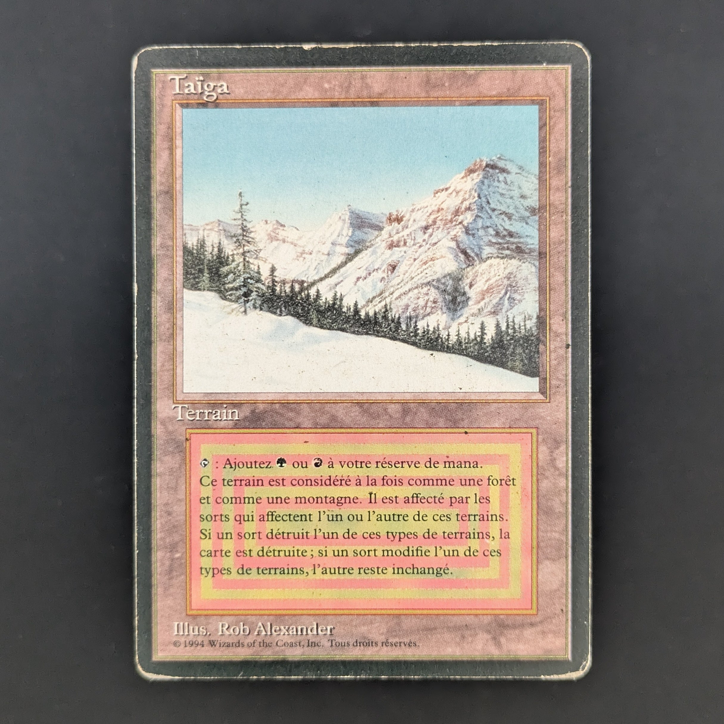 MTG Singles - Taiga - Foreign Black Bordered - French - PO - WATER DAMAGE - 35283